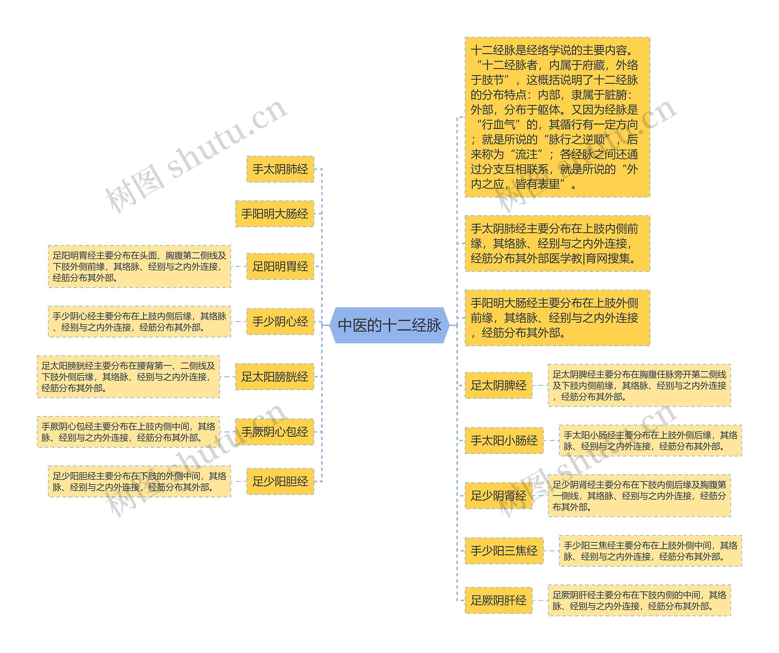 中医的十二经脉思维导图