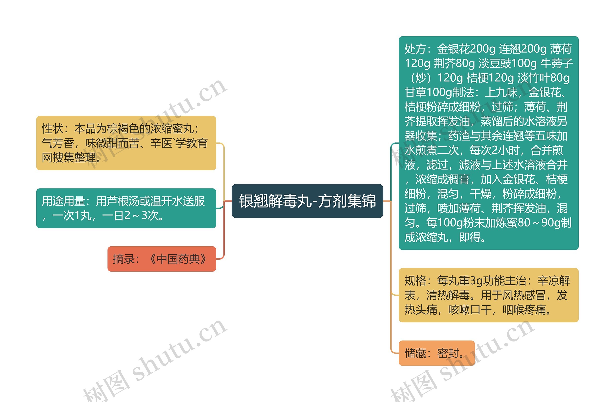 银翘解毒丸-方剂集锦思维导图