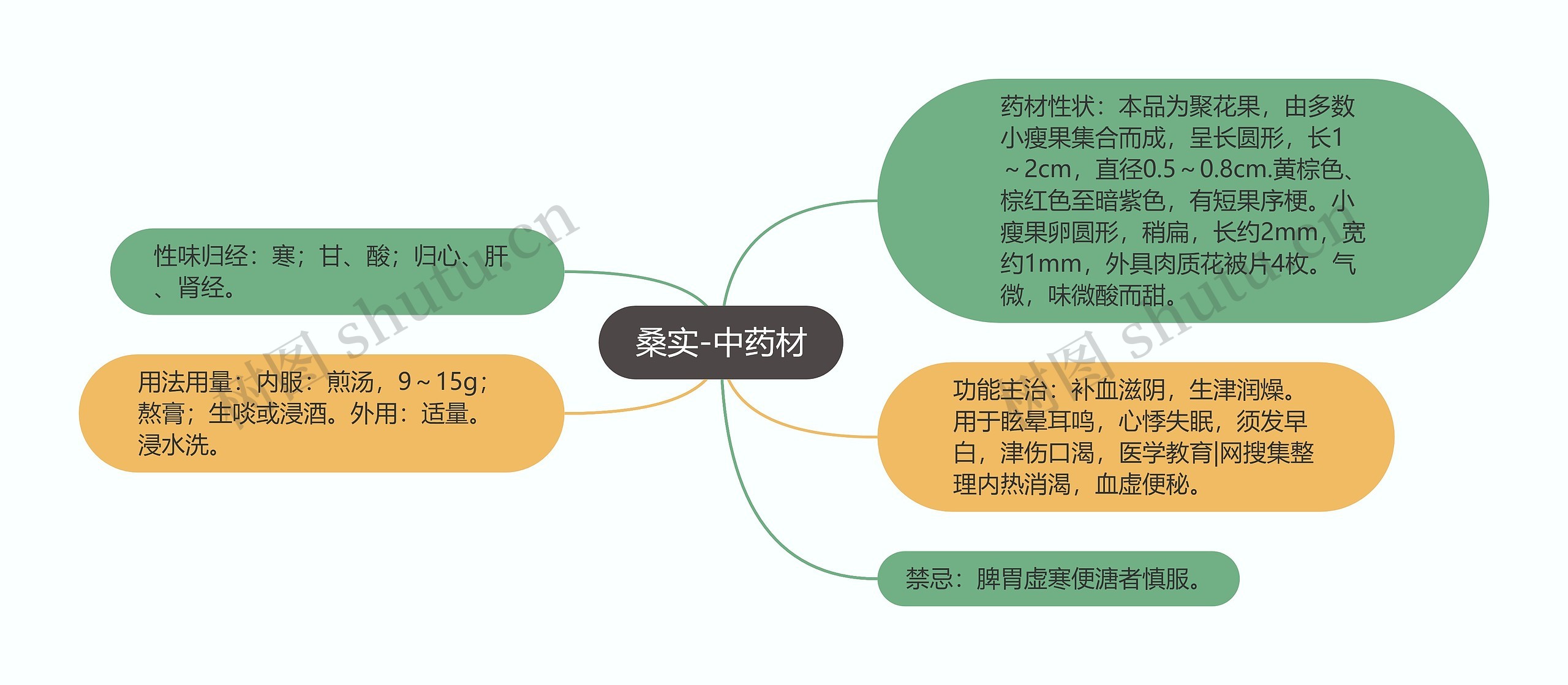 桑实-中药材思维导图