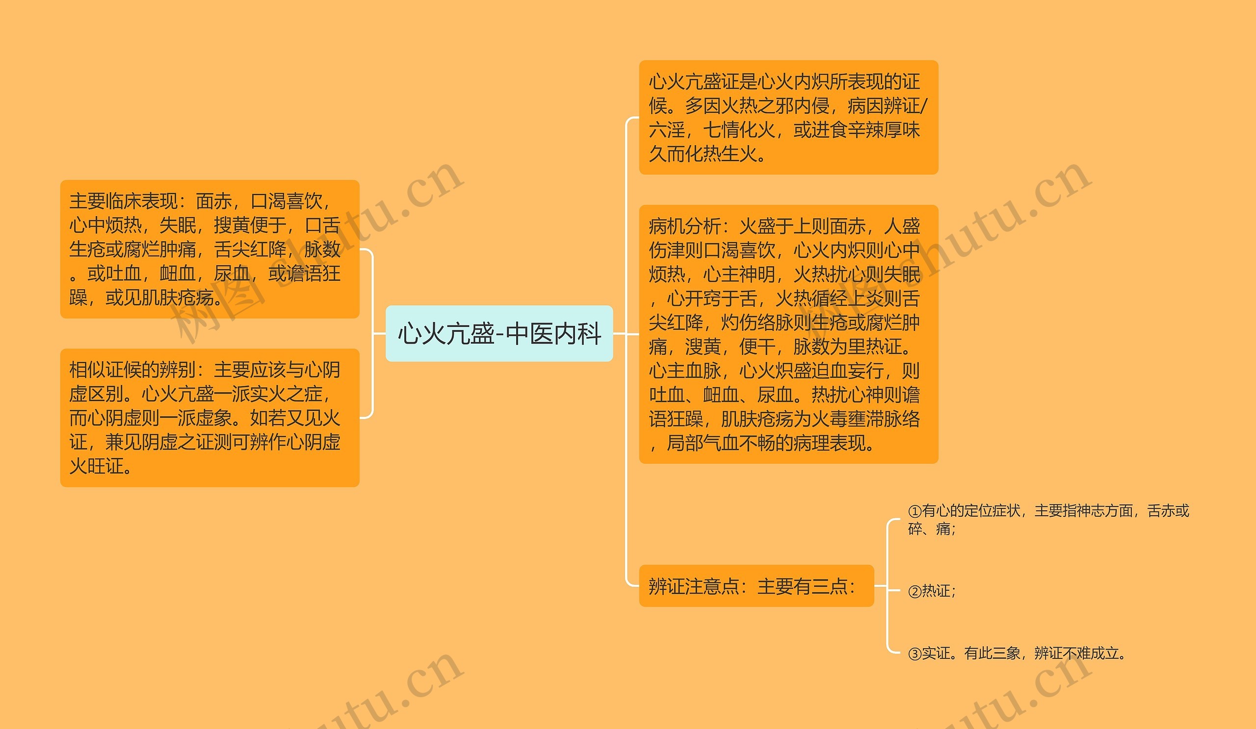 心火亢盛-中医内科思维导图