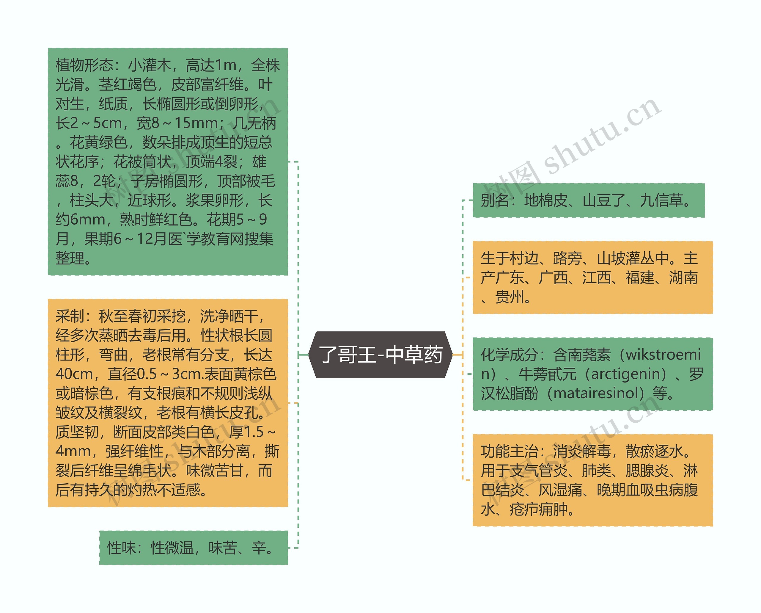 了哥王-中草药思维导图