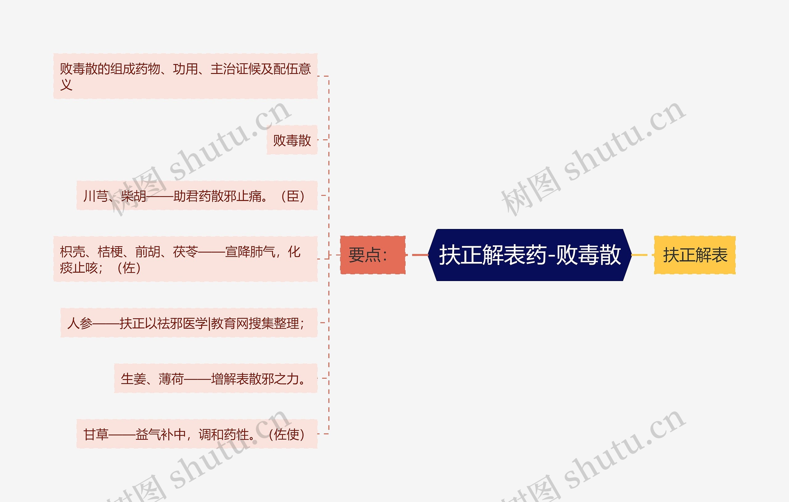 扶正解表药-败毒散思维导图