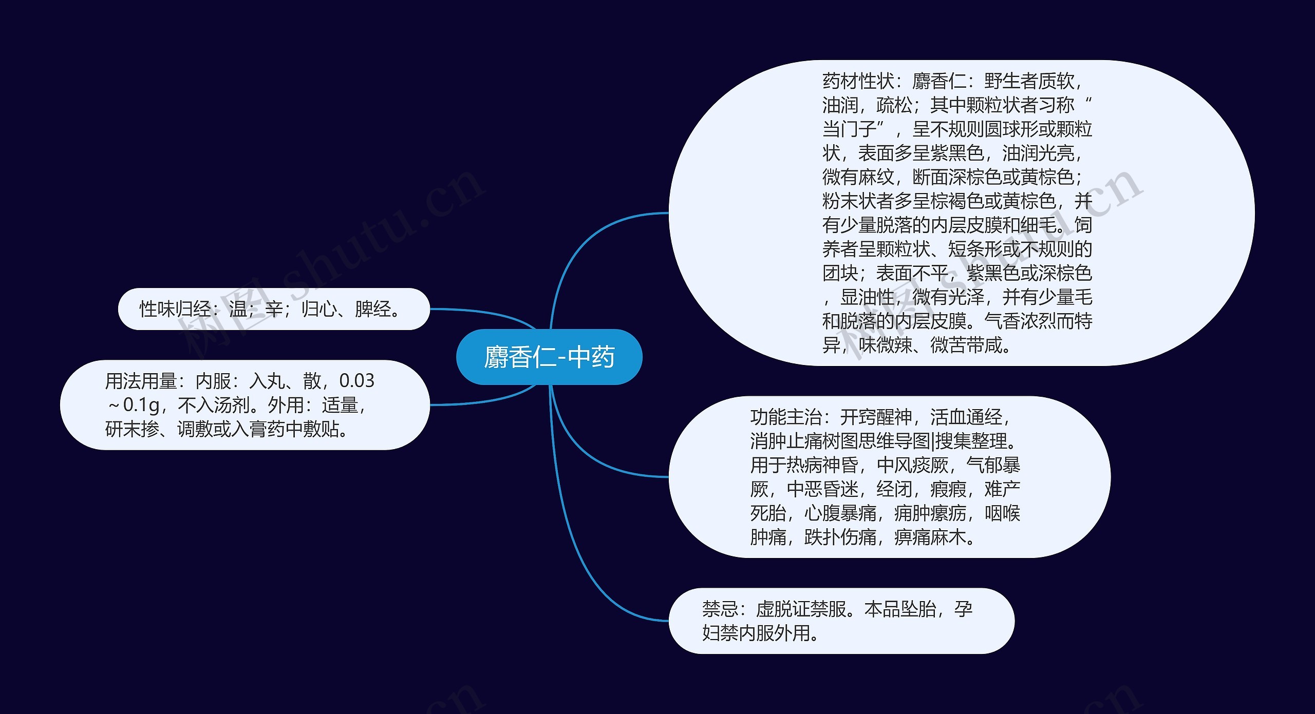 麝香仁-中药思维导图