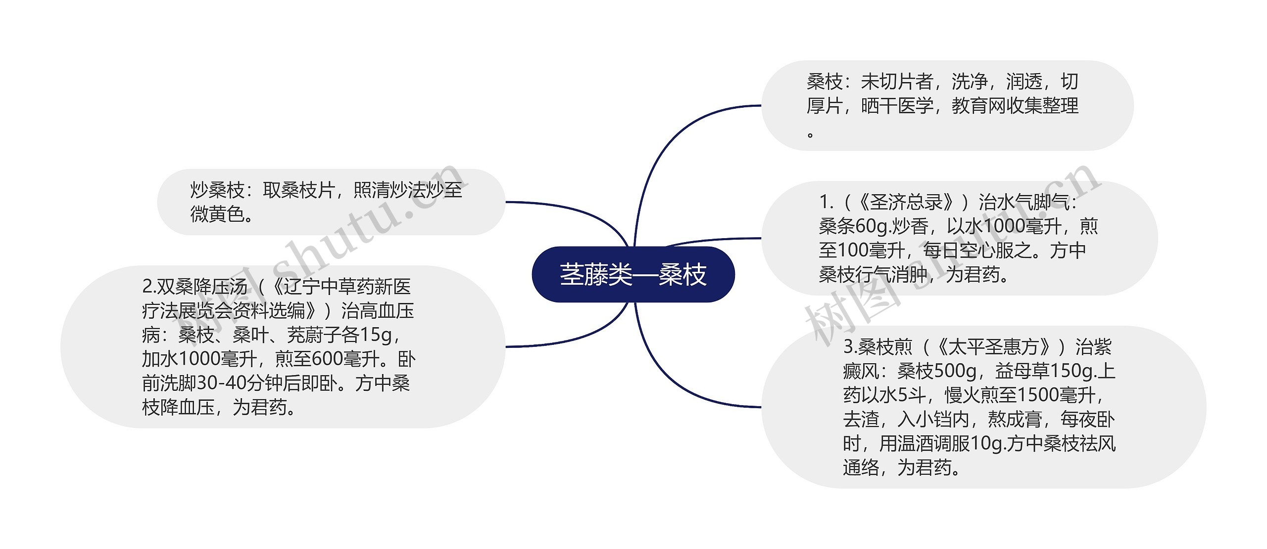 茎藤类—桑枝思维导图