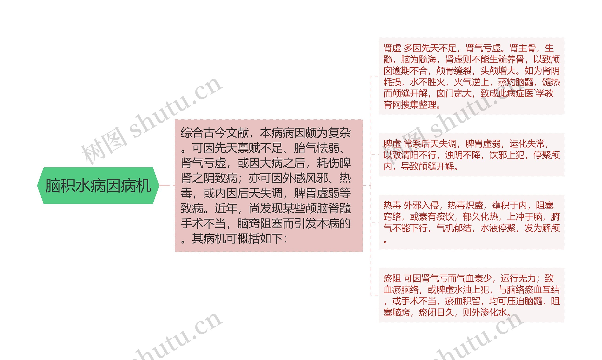 脑积水病因病机思维导图