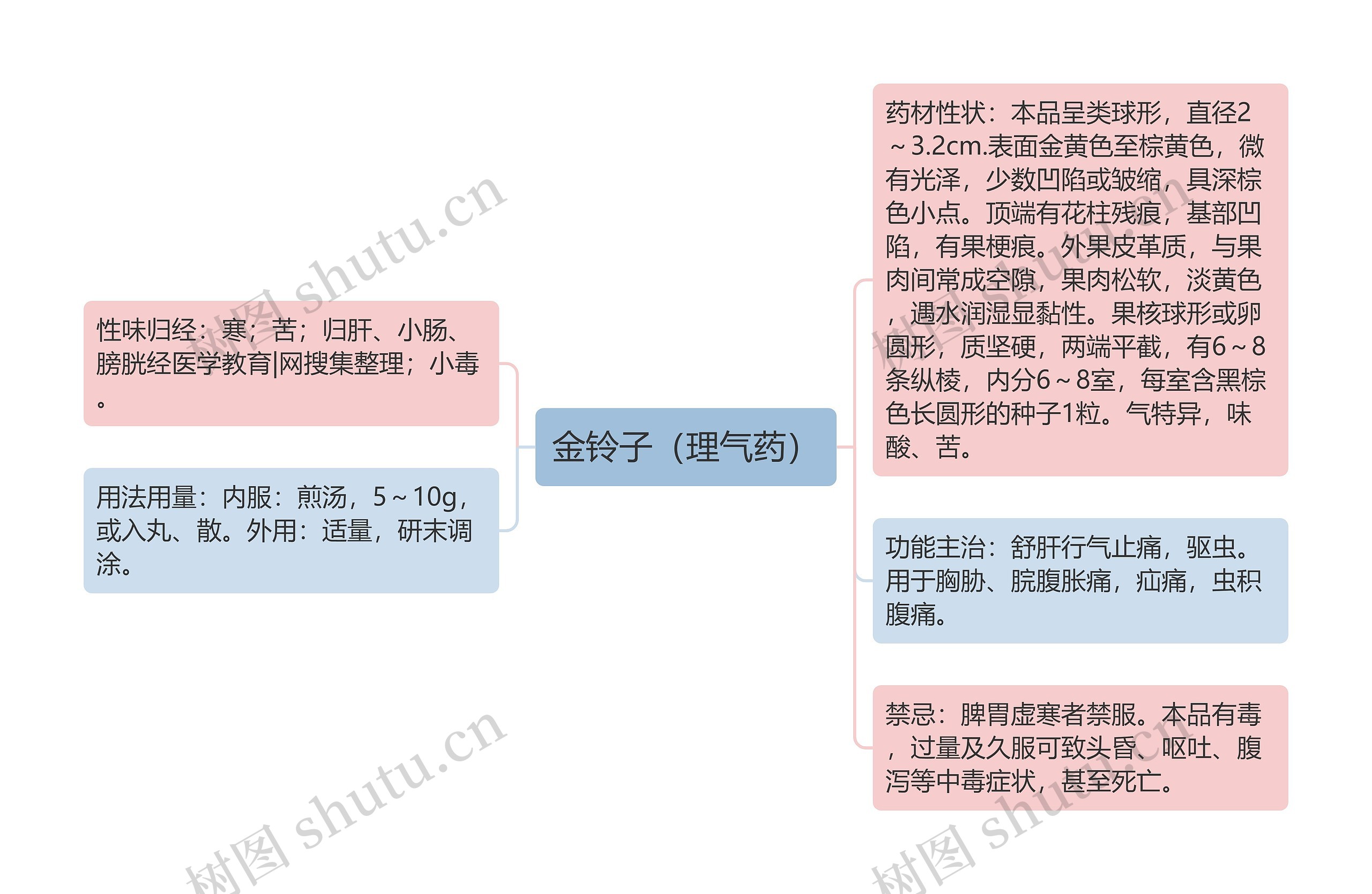 金铃子（理气药）