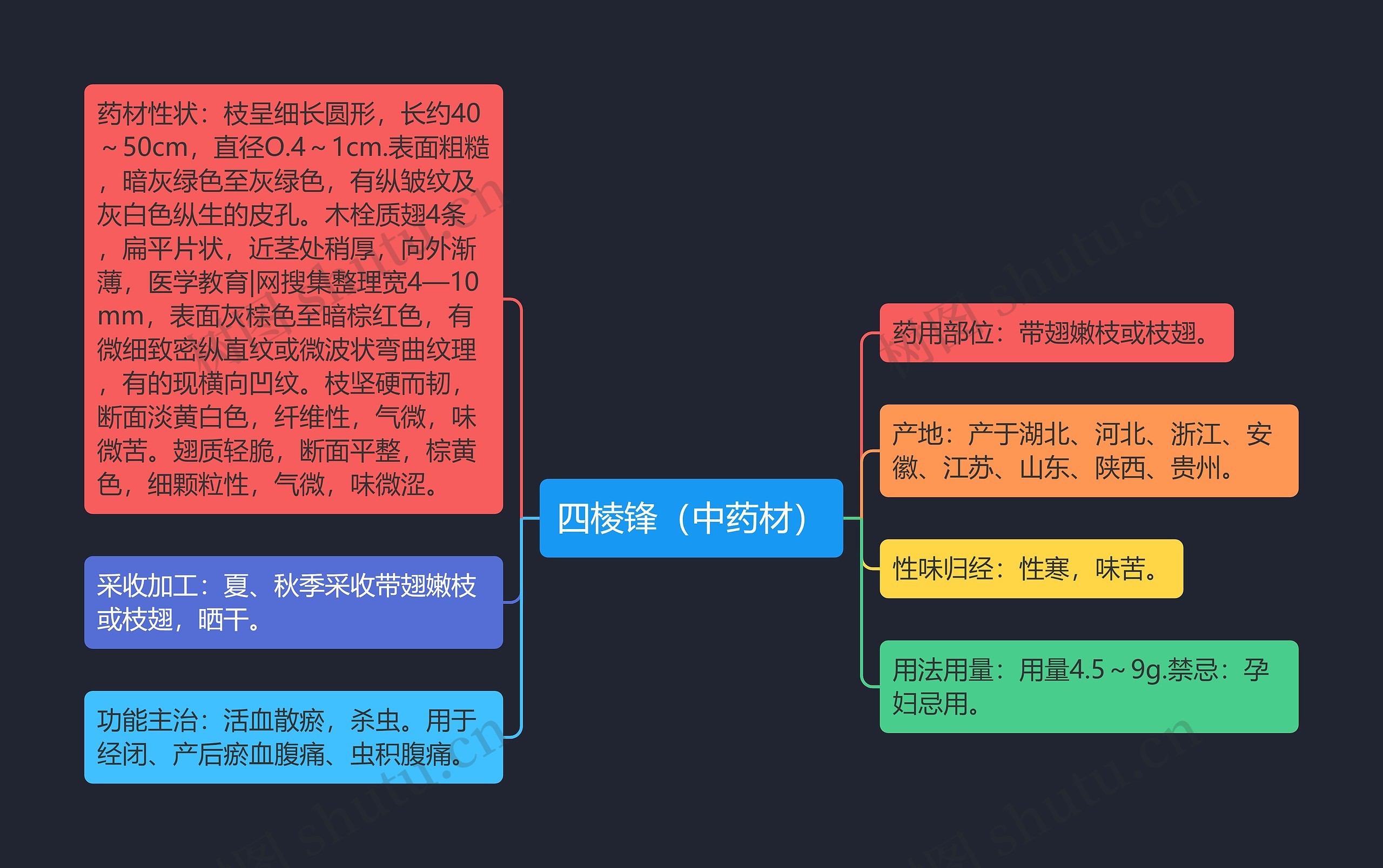 四棱锋（中药材）思维导图