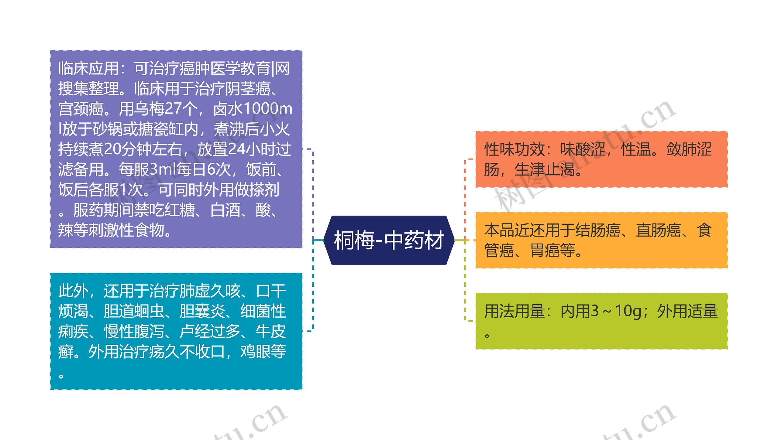 桐梅-中药材思维导图