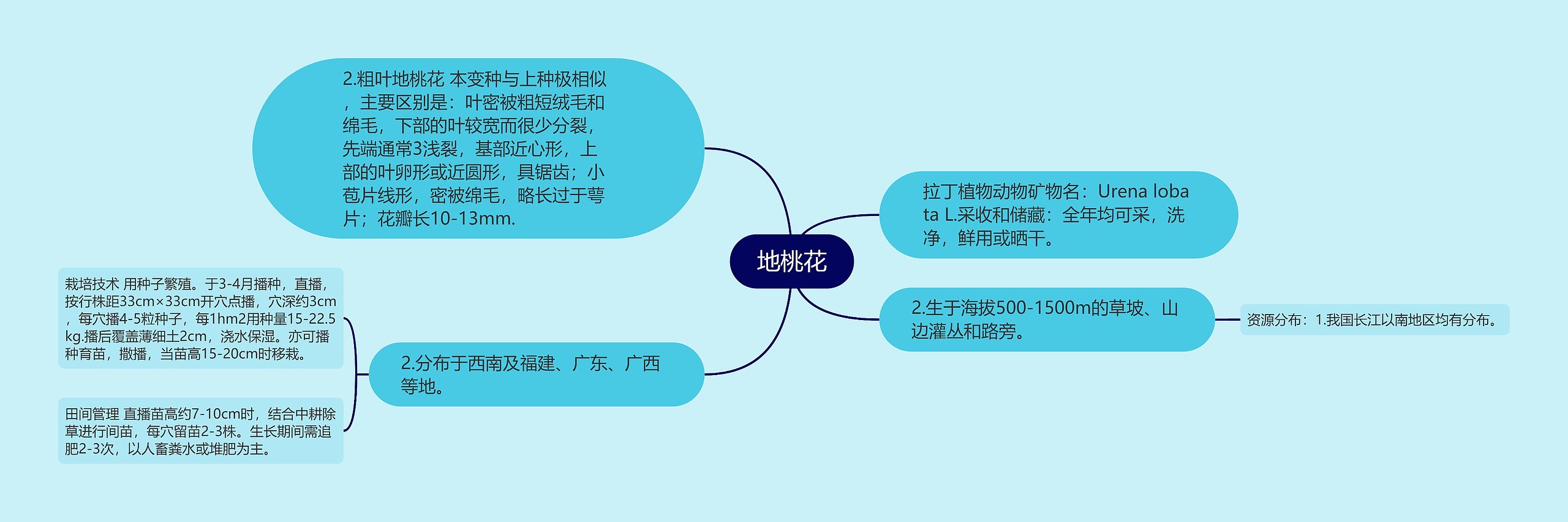 地桃花思维导图