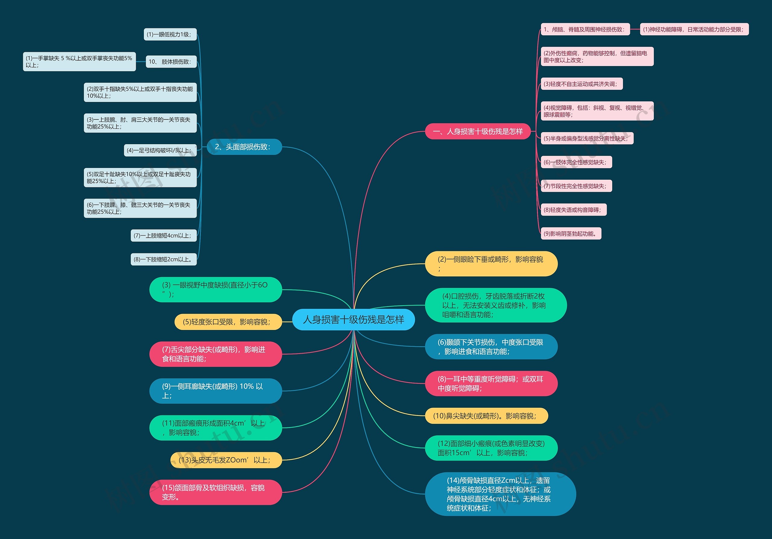人身损害十级伤残是怎样思维导图