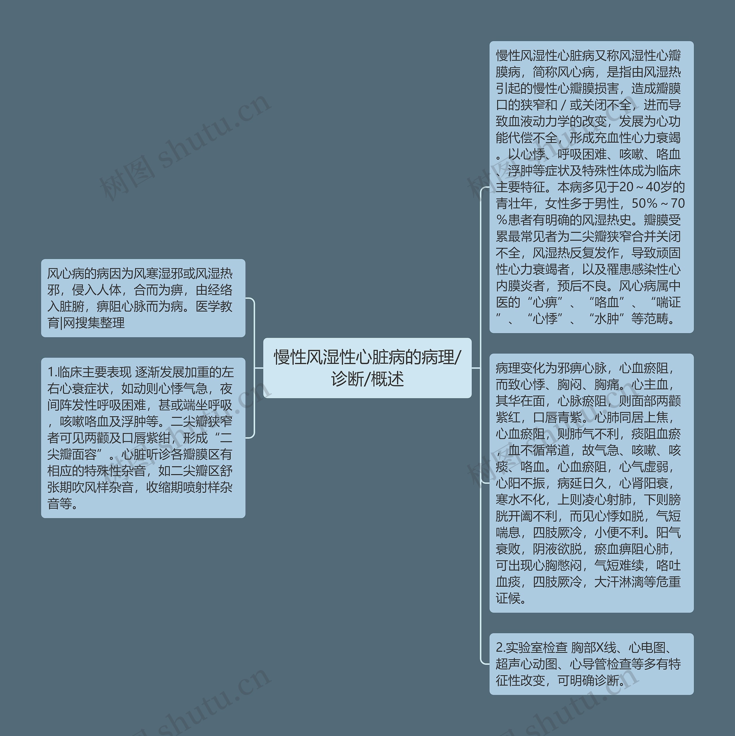 慢性风湿性心脏病的病理/诊断/概述思维导图