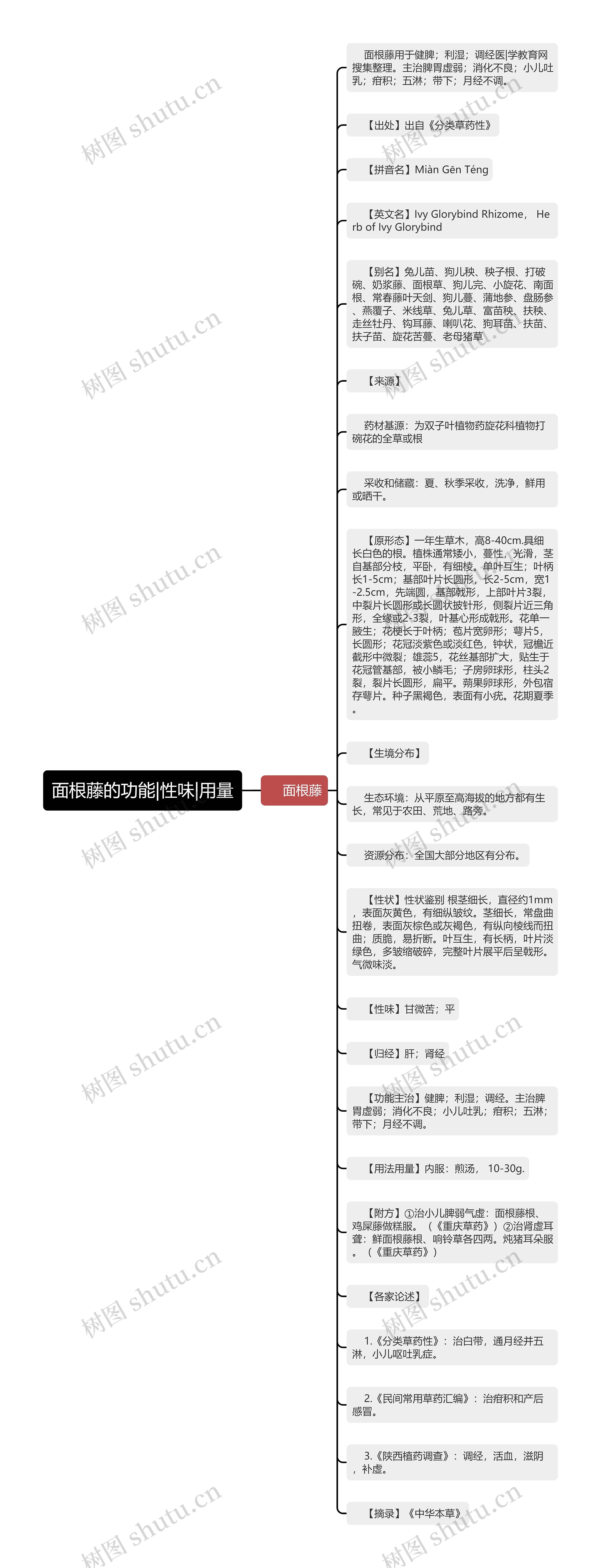 面根藤的功能|性味|用量