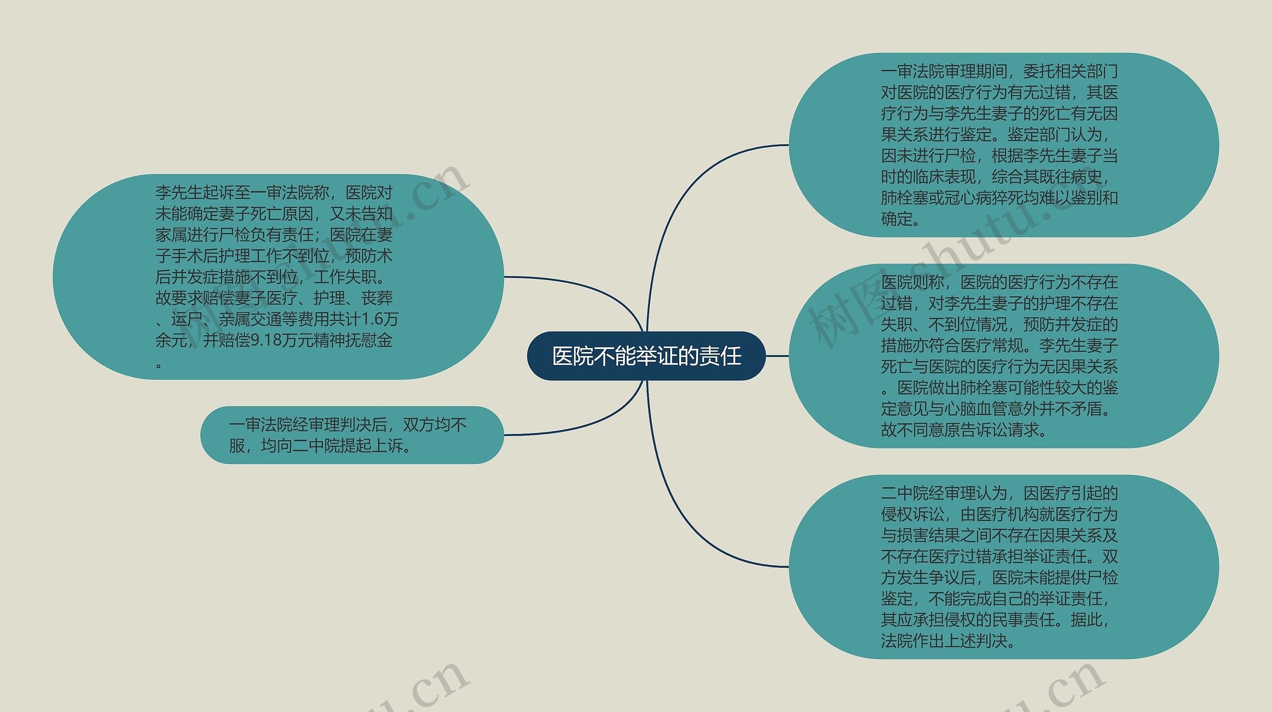 医院不能举证的责任思维导图