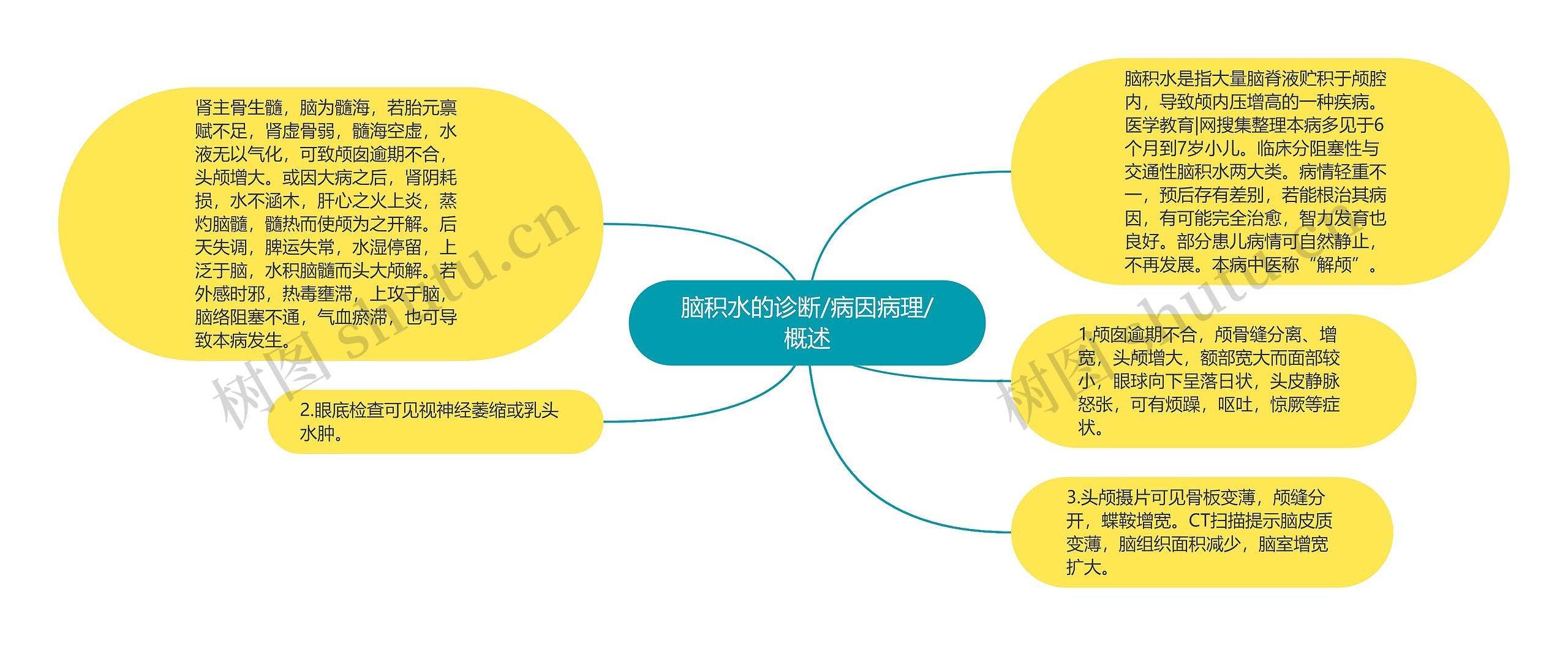 脑积水的诊断/病因病理/概述思维导图