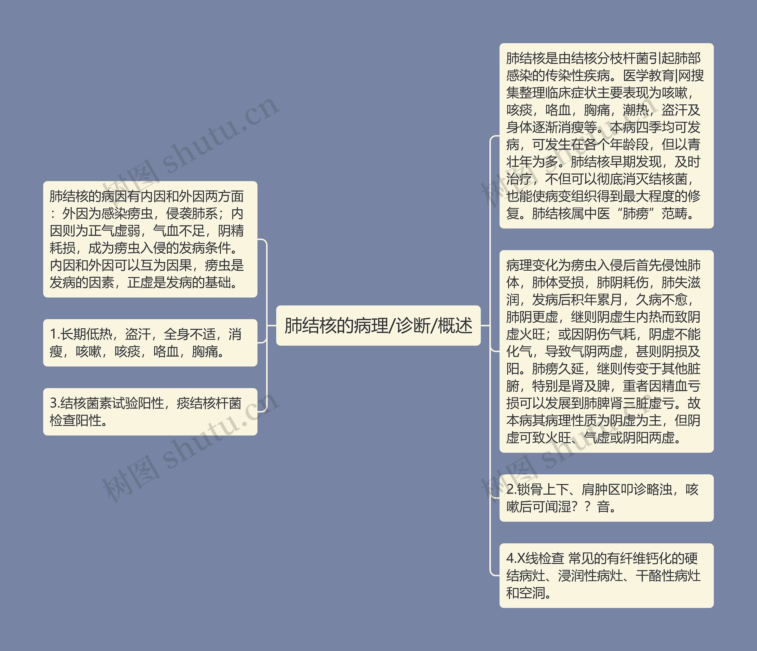 肺结核的病理/诊断/概述思维导图