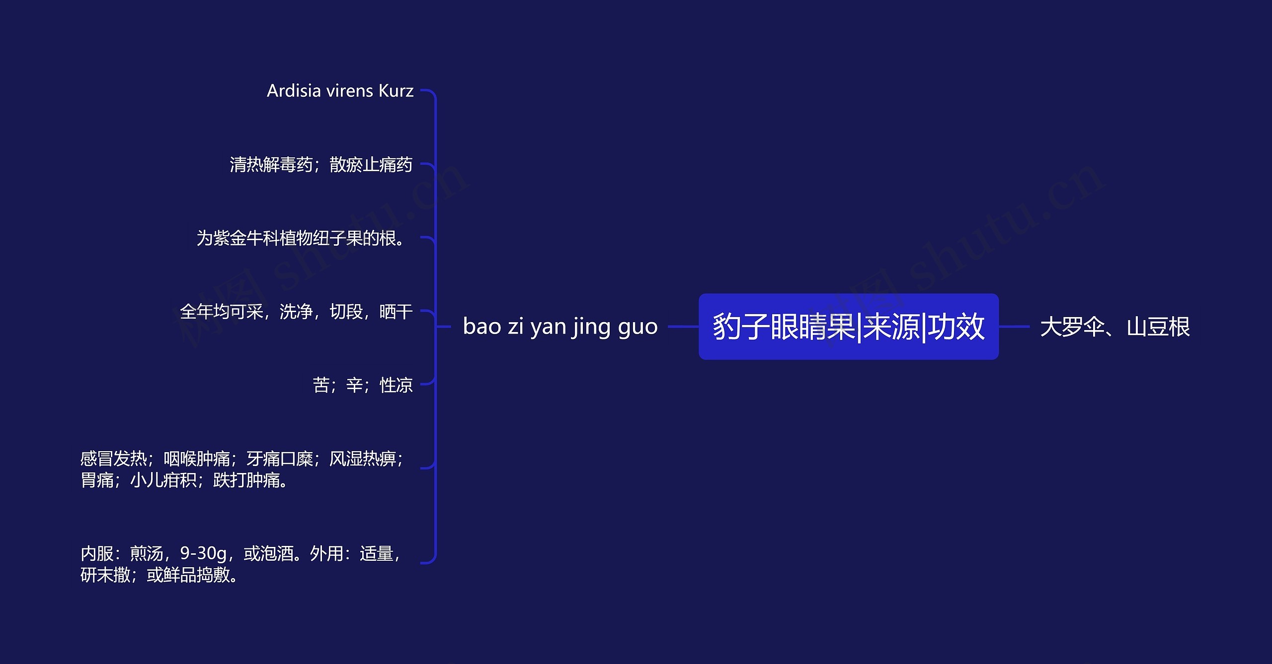豹子眼睛果|来源|功效 豹子眼睛果|来源|功效
