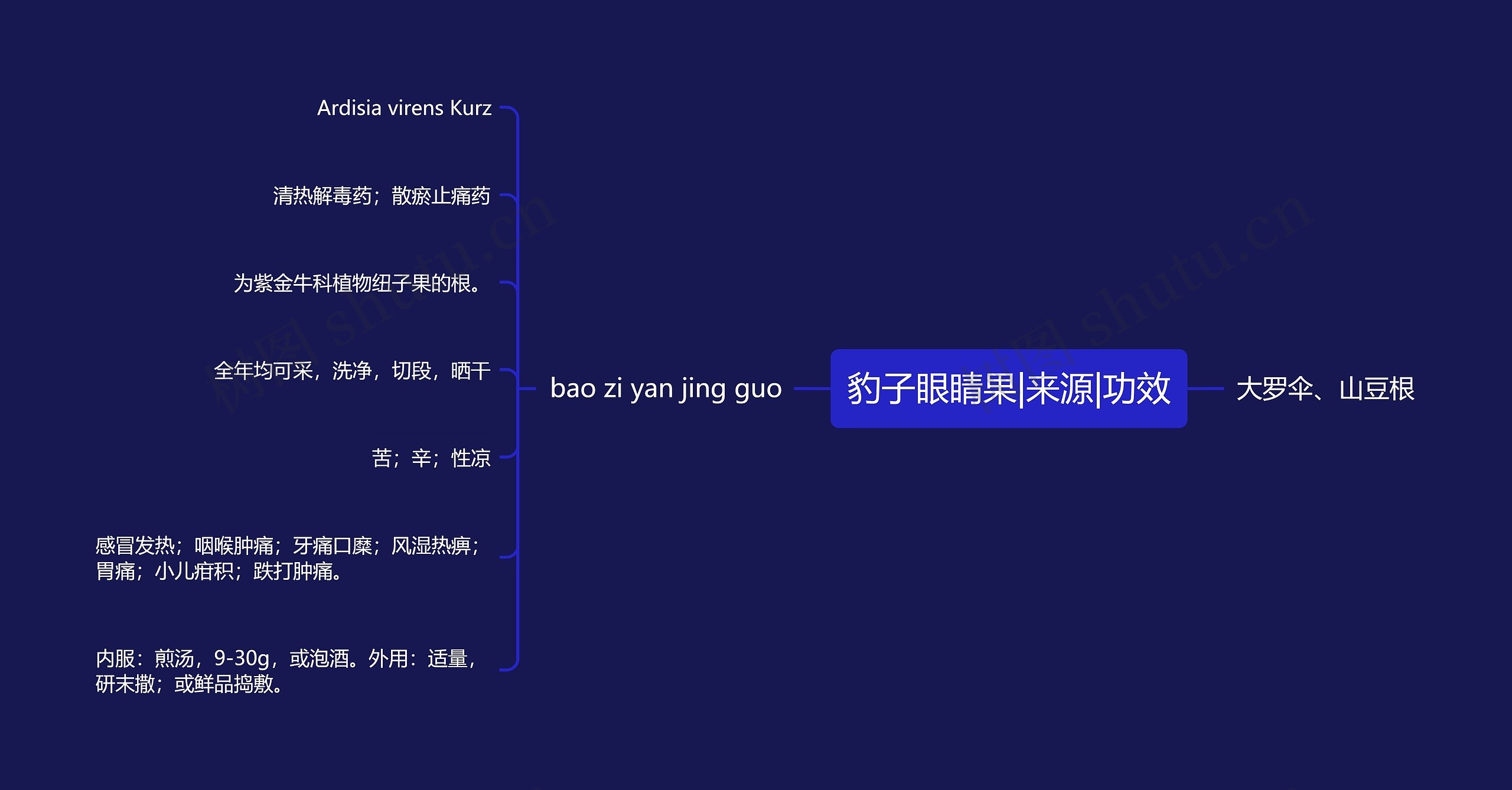 豹子眼睛果|来源|功效思维导图