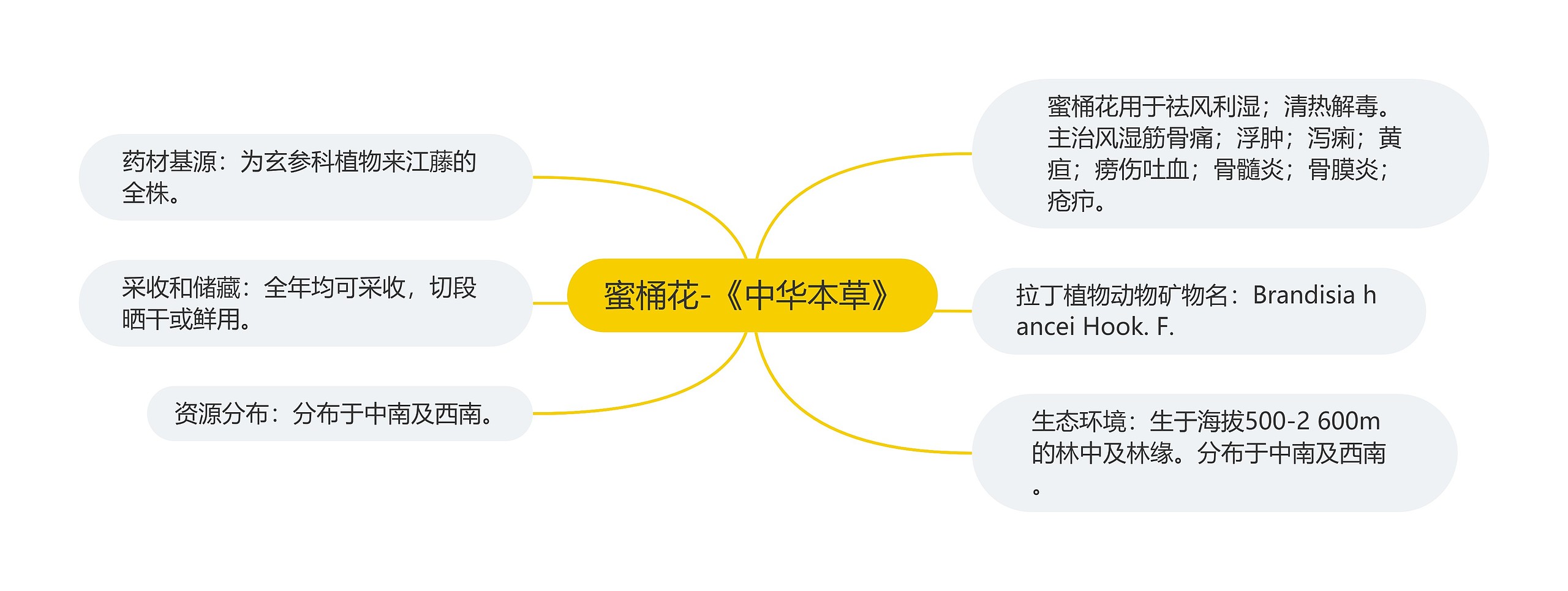 蜜桶花-《中华本草》思维导图