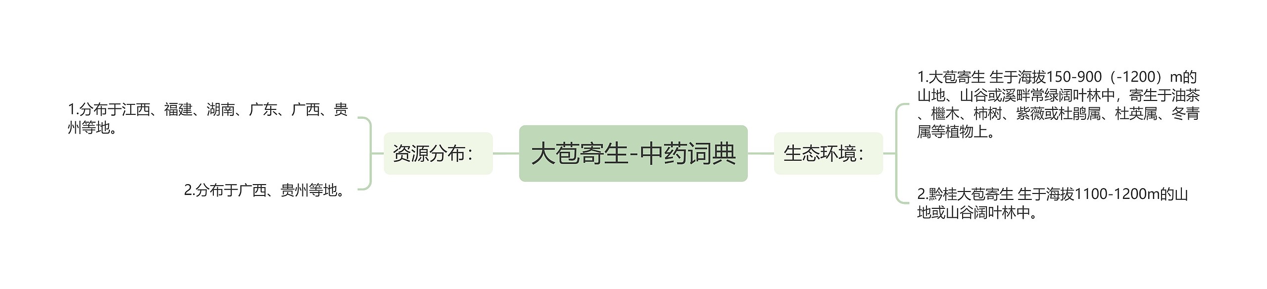 大苞寄生-中药词典 大苞寄生-中药词典