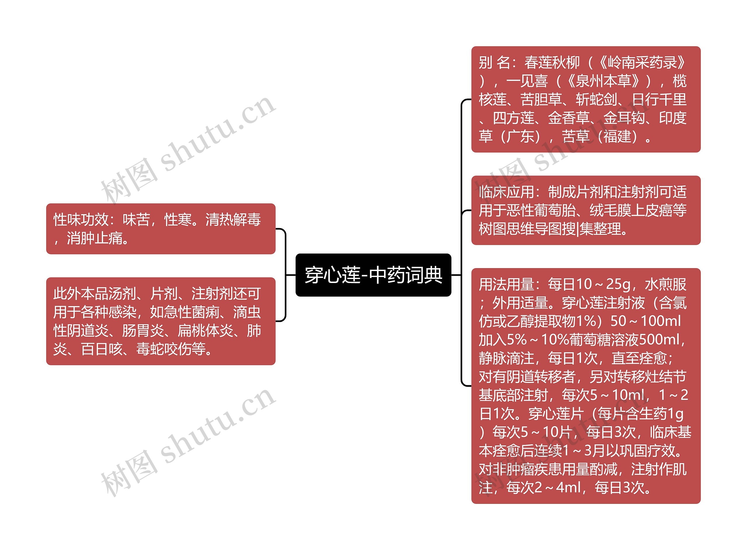 穿心莲-中药词典思维导图