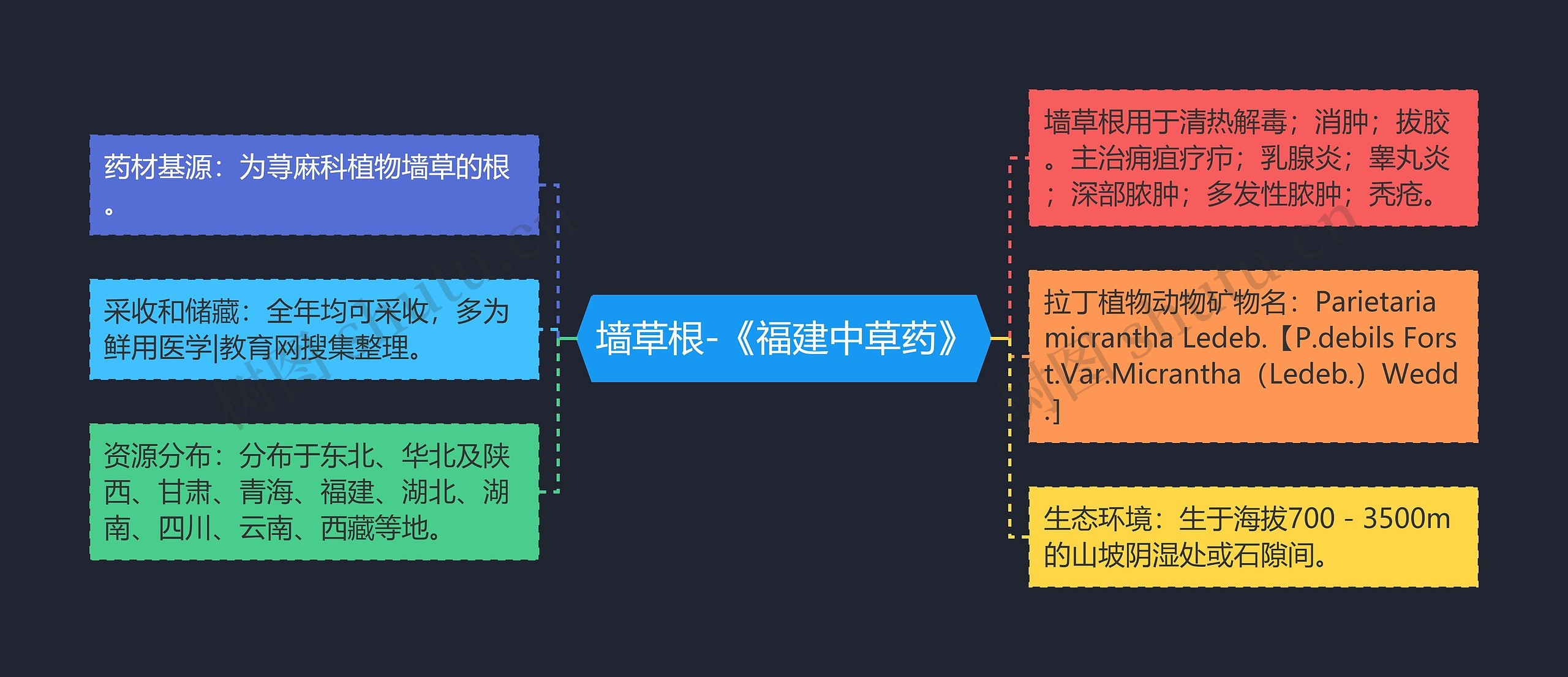 墙草根-《福建中草药》思维导图