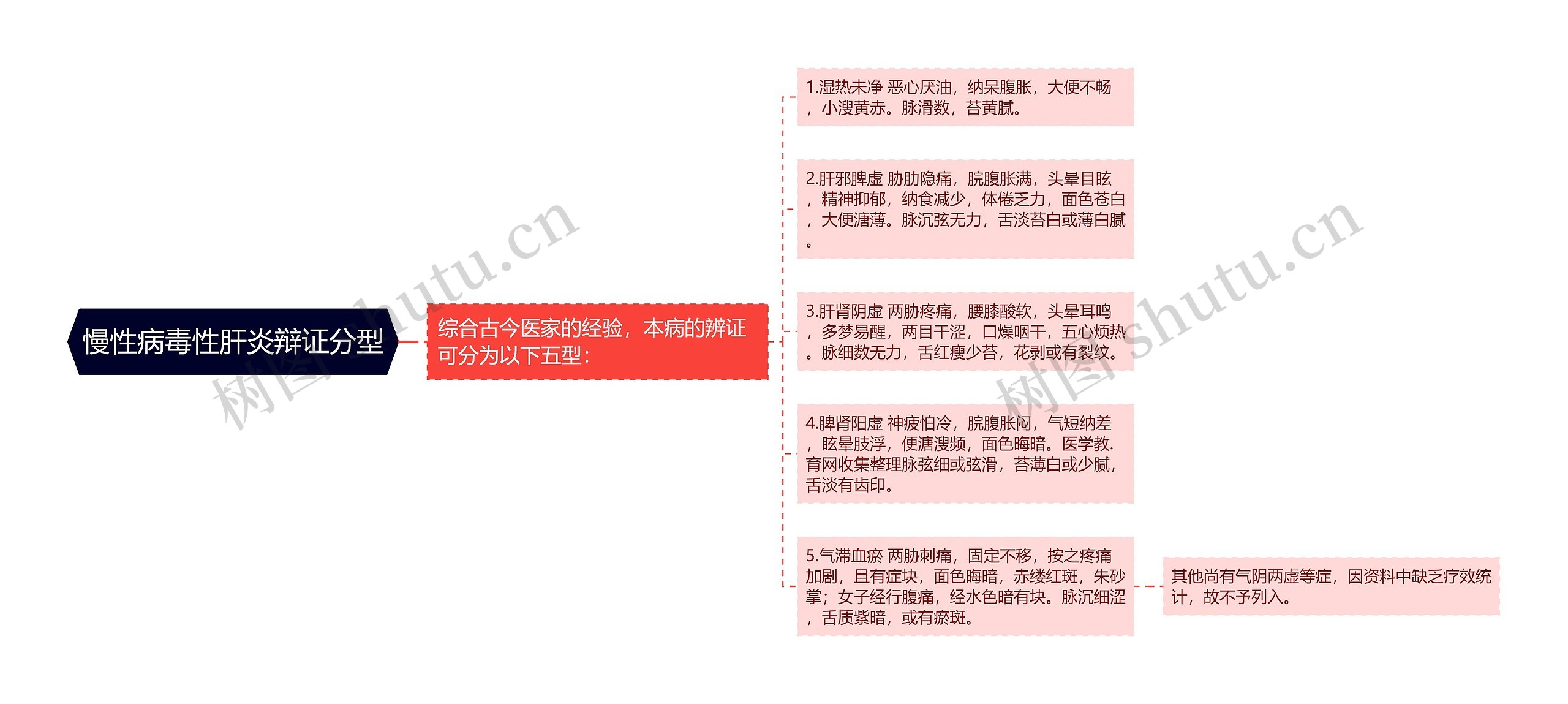 慢性病毒性肝炎辩证分型