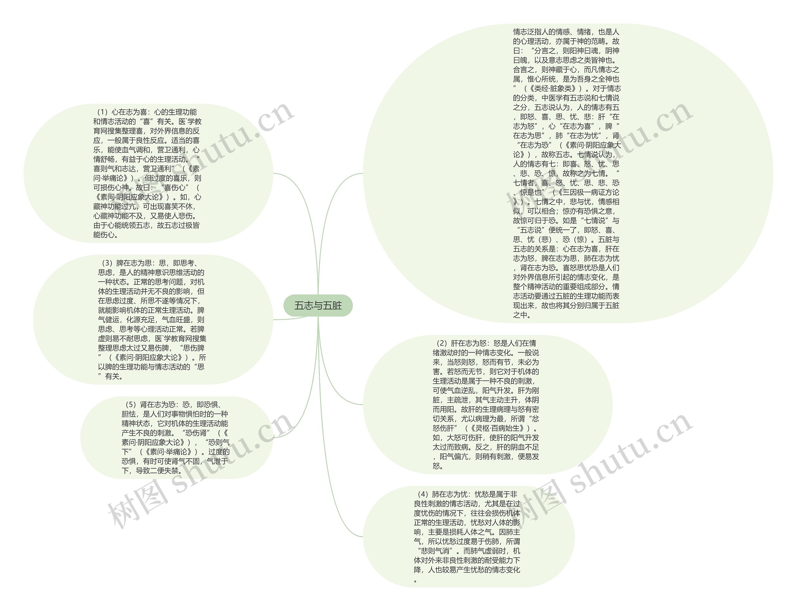五志与五脏思维导图