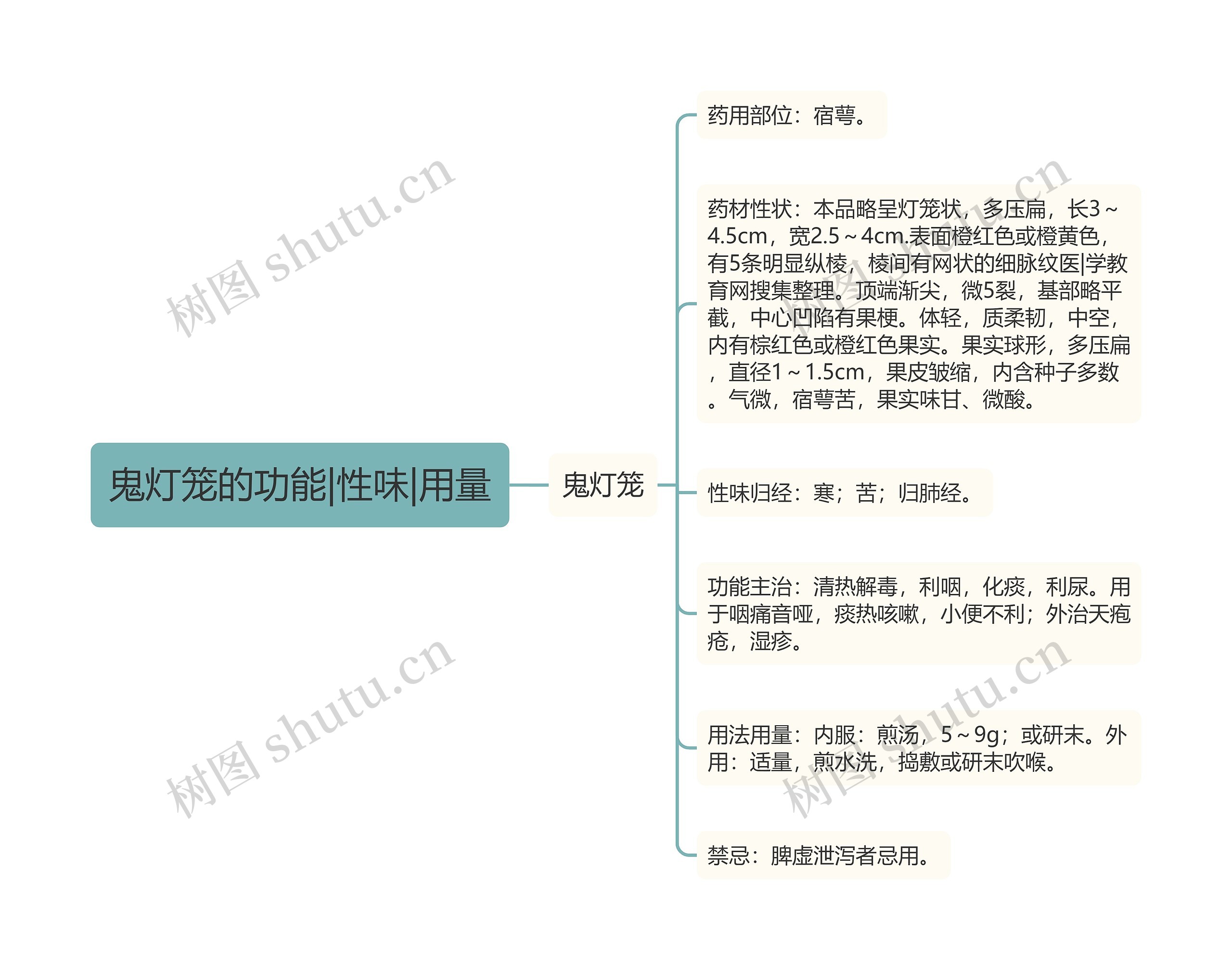 鬼灯笼的功能|性味|用量 鬼灯笼的功能|性味|用量