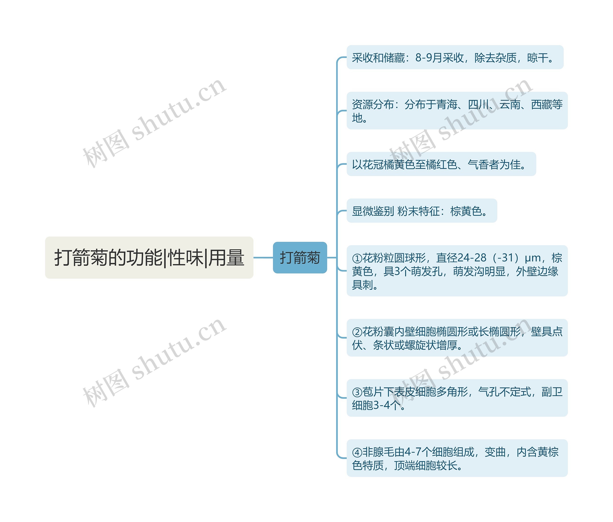 打箭菊的功能|性味|用量 打箭菊的功能|性味|用量