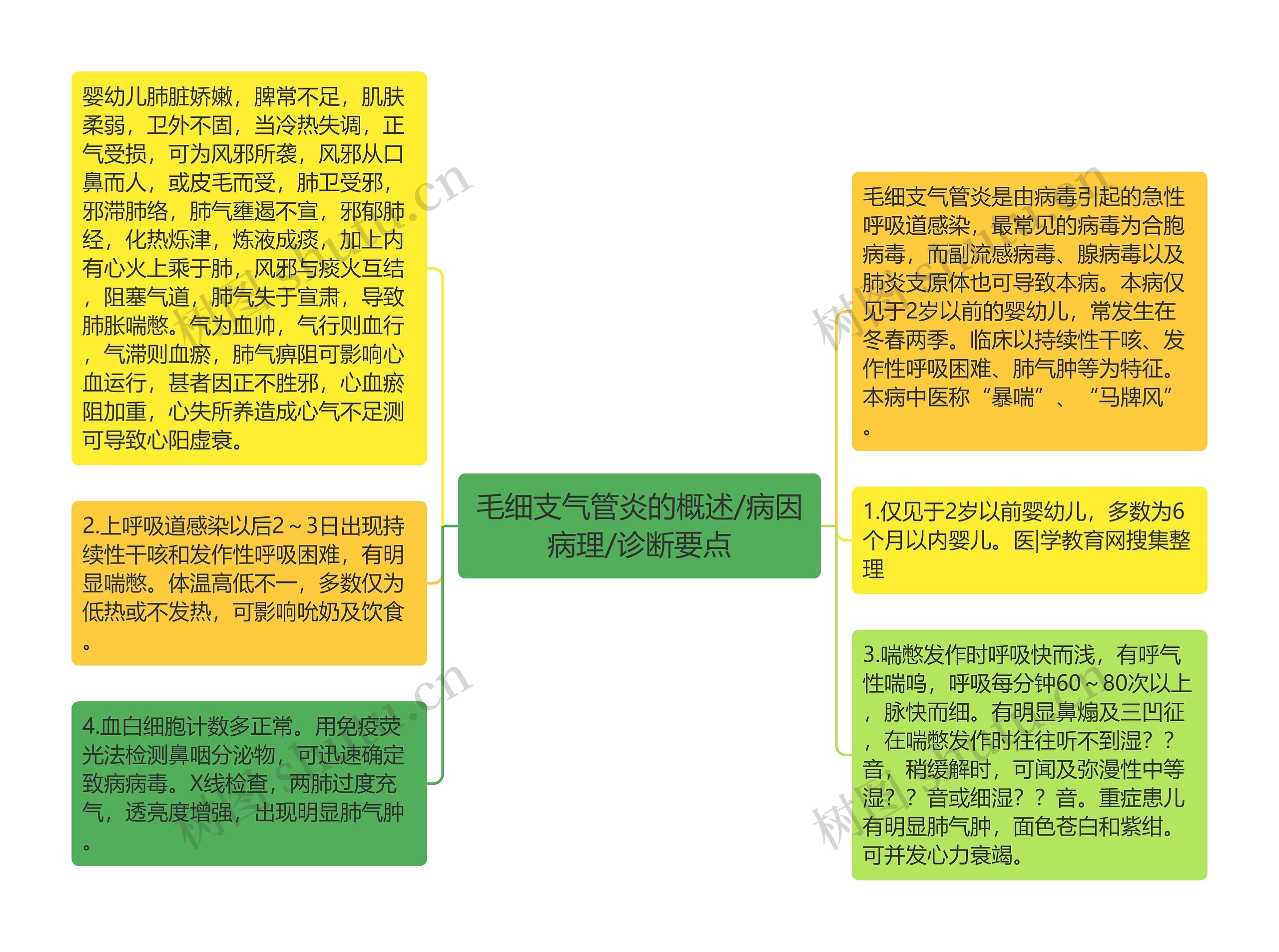 毛细支气管炎的概述/病因病理/诊断要点