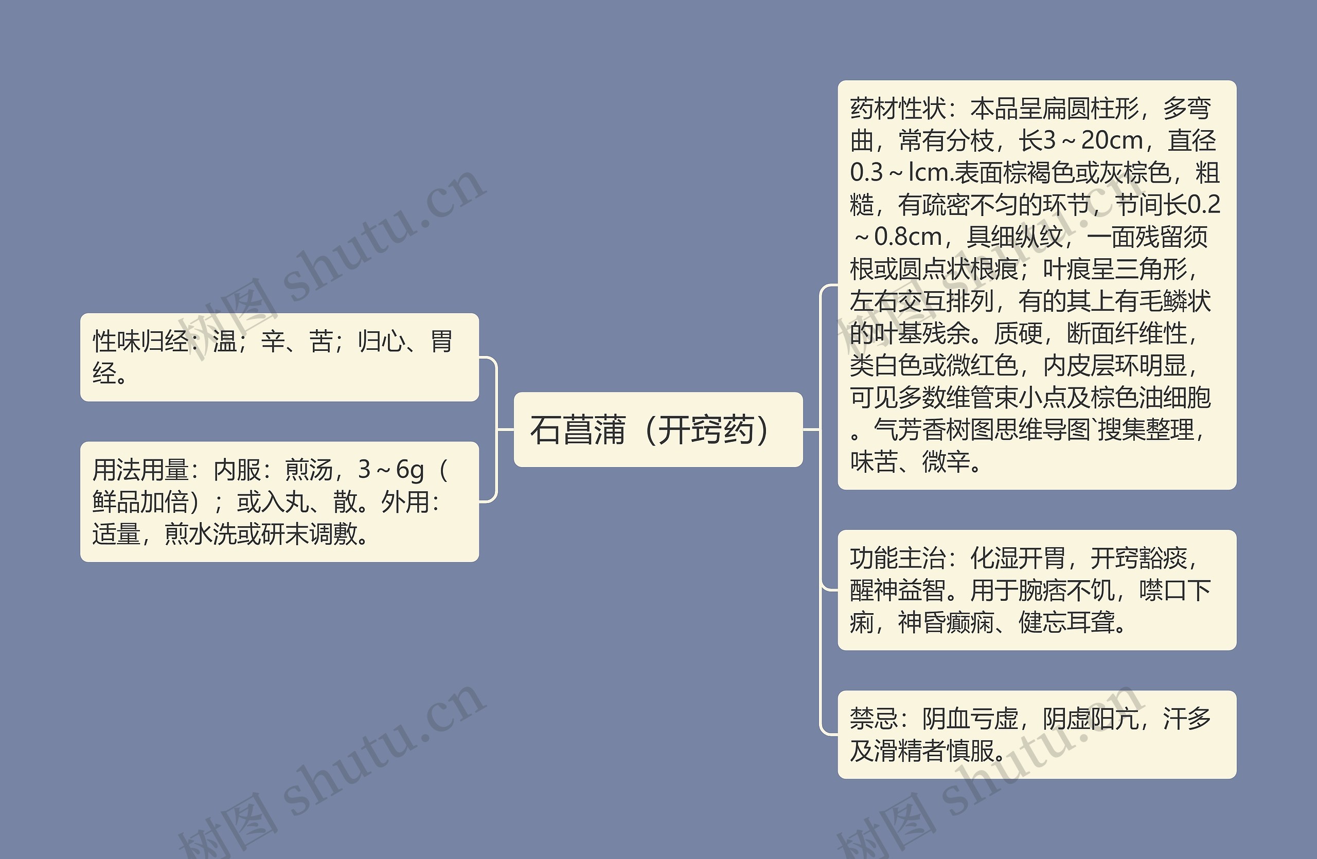 石菖蒲（开窍药）思维导图