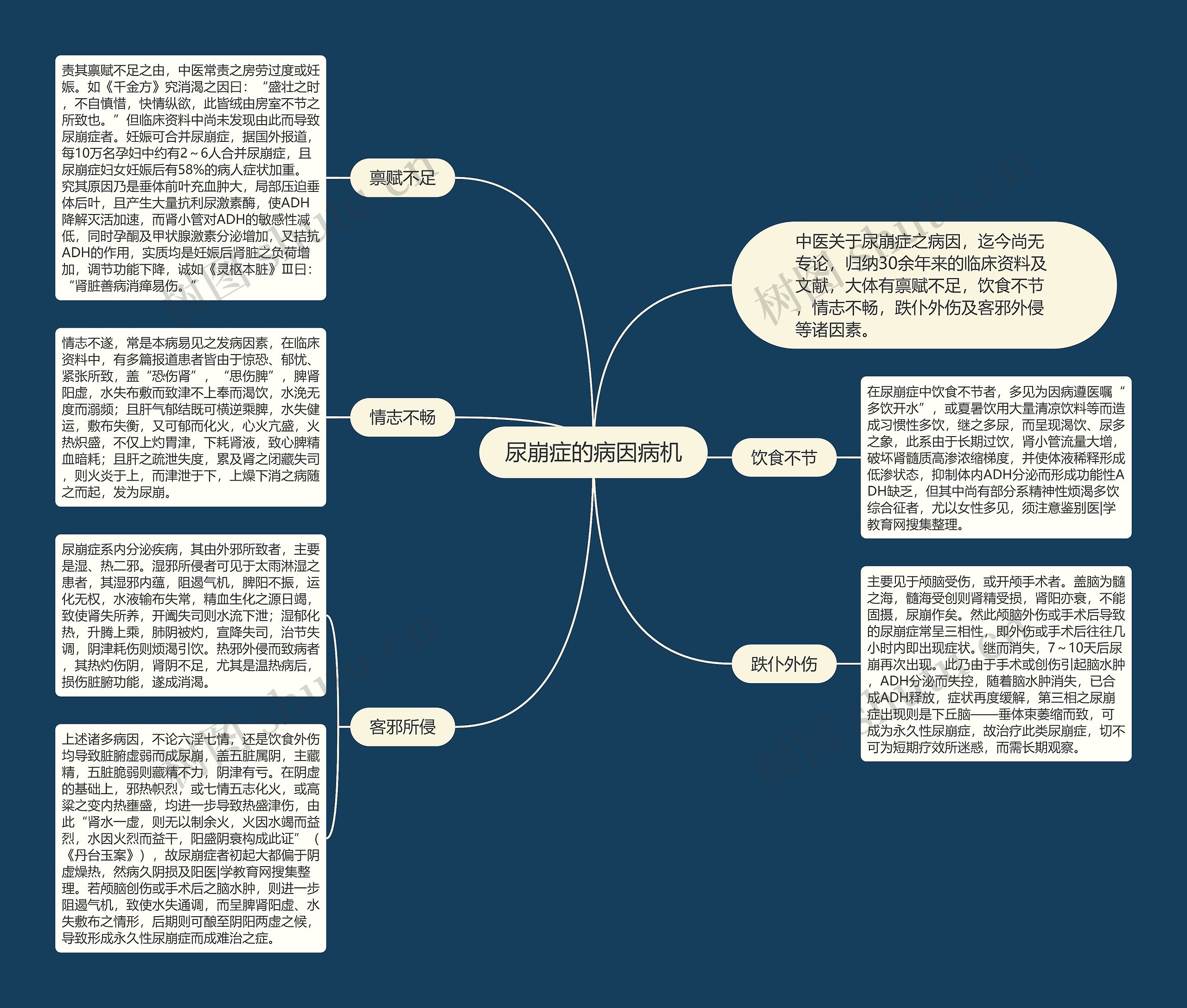 病史采集思维导图图片