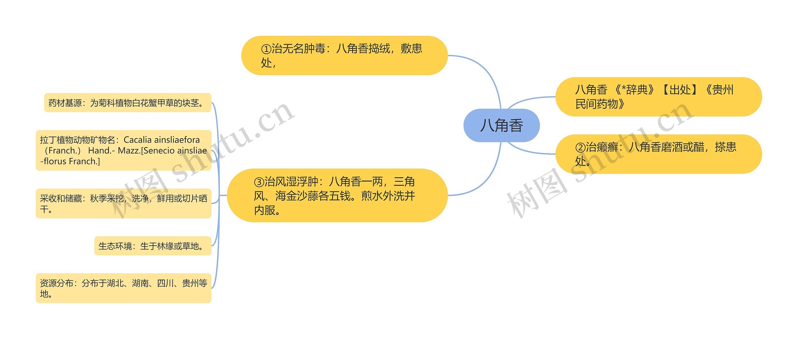 八角香思维导图