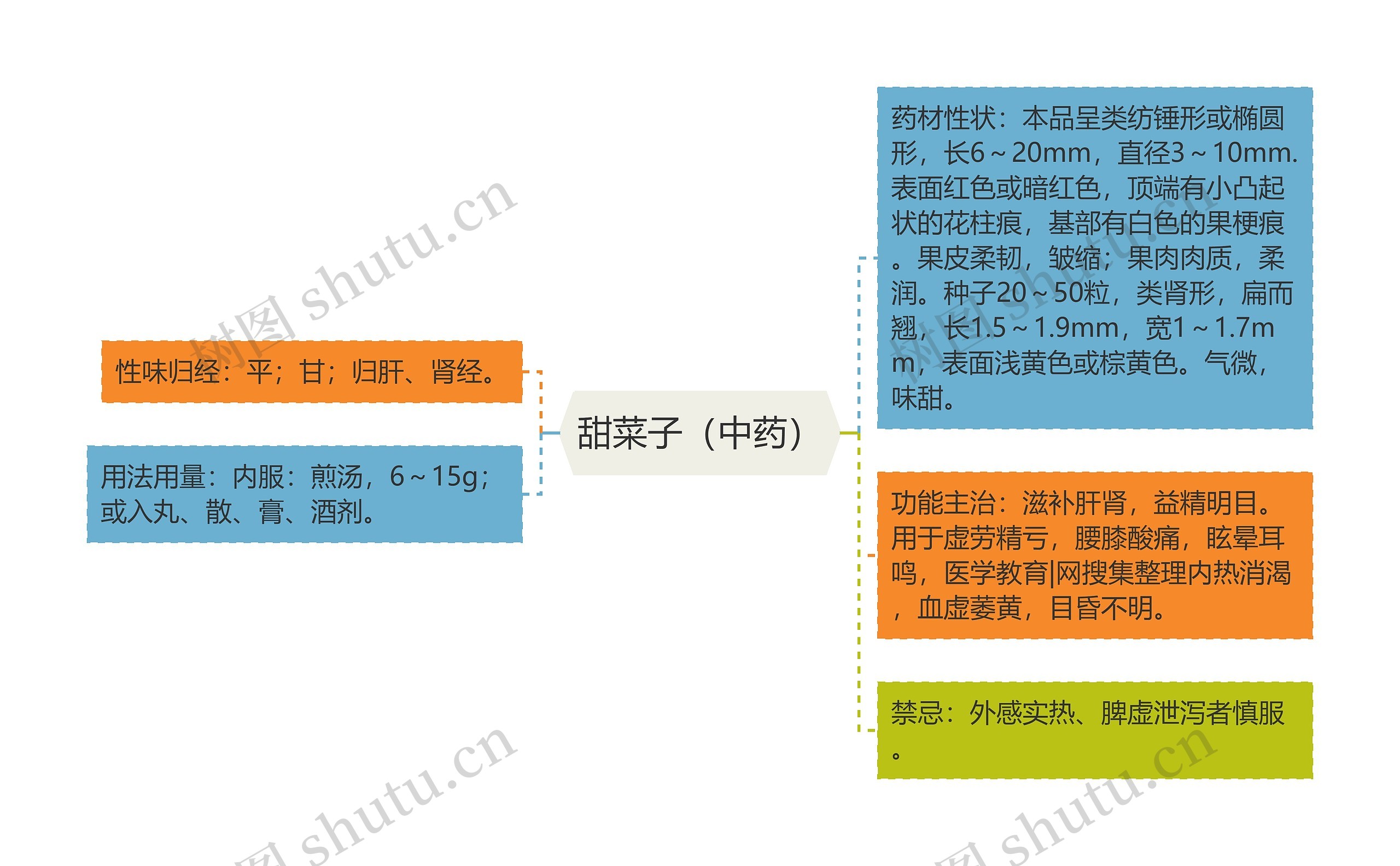 甜菜子（中药）思维导图