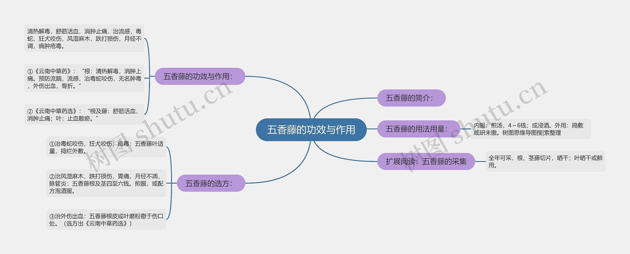 五香藤的功效与作用思维导图