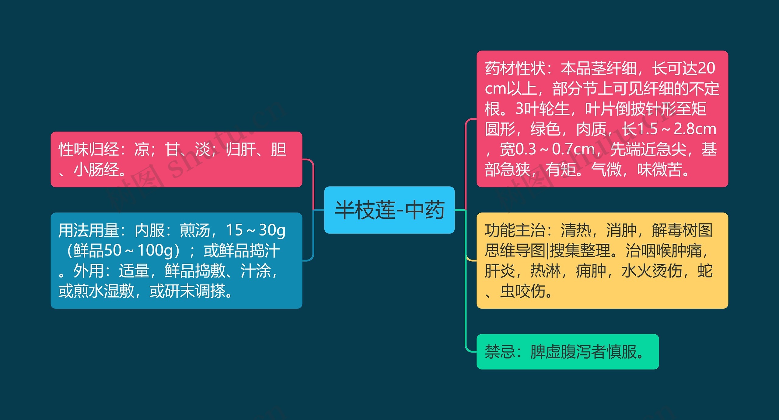 半枝莲-中药思维导图