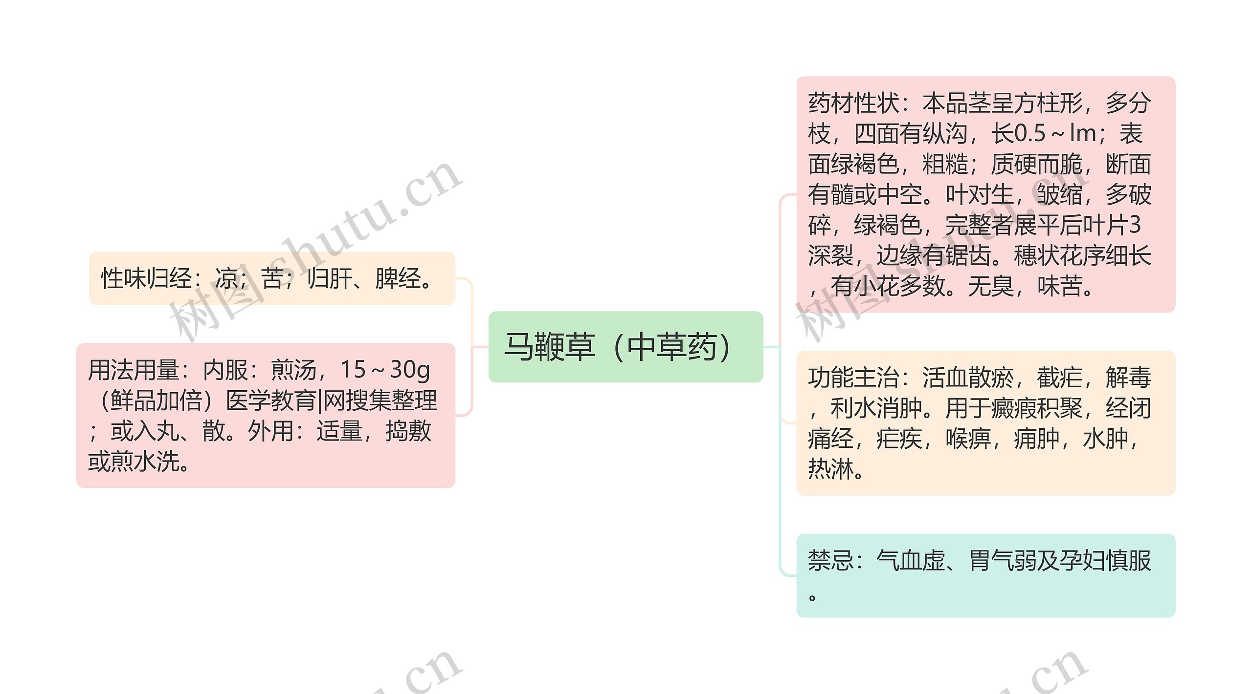 马鞭草（中草药）思维导图