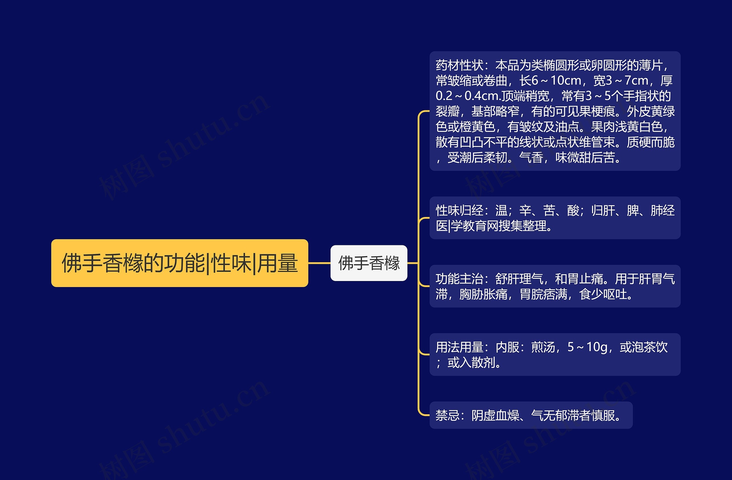 佛手香橼的功能|性味|用量思维导图