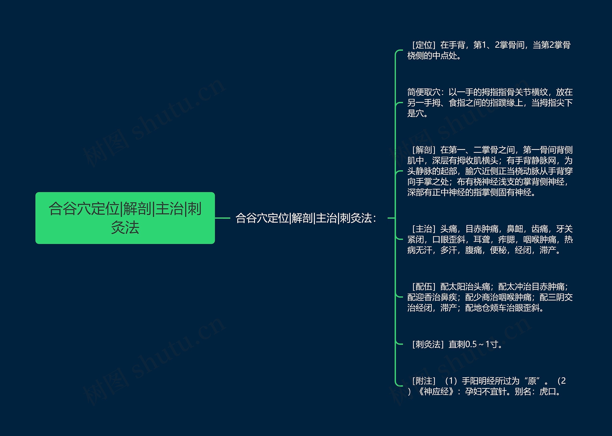 合谷穴定位|解剖|主治|刺灸法思维导图