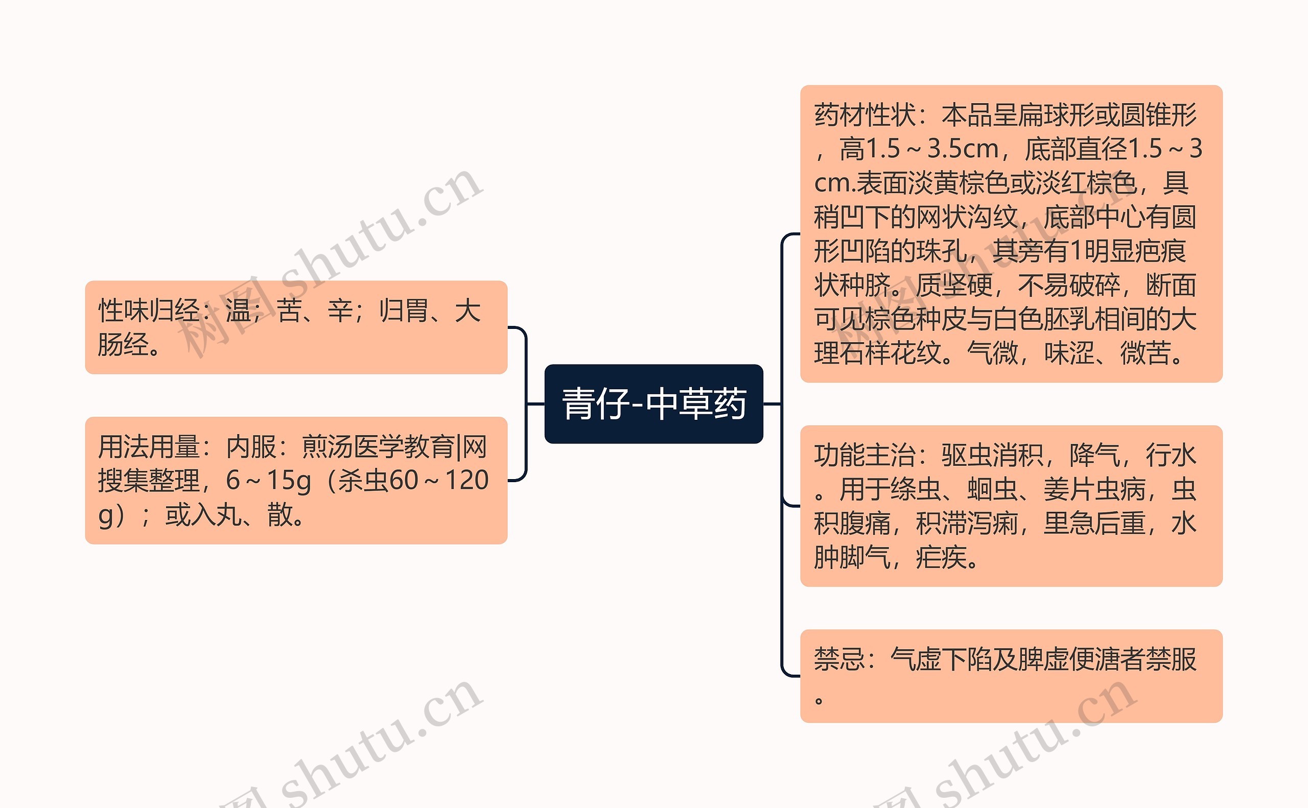 青仔-中草药思维导图