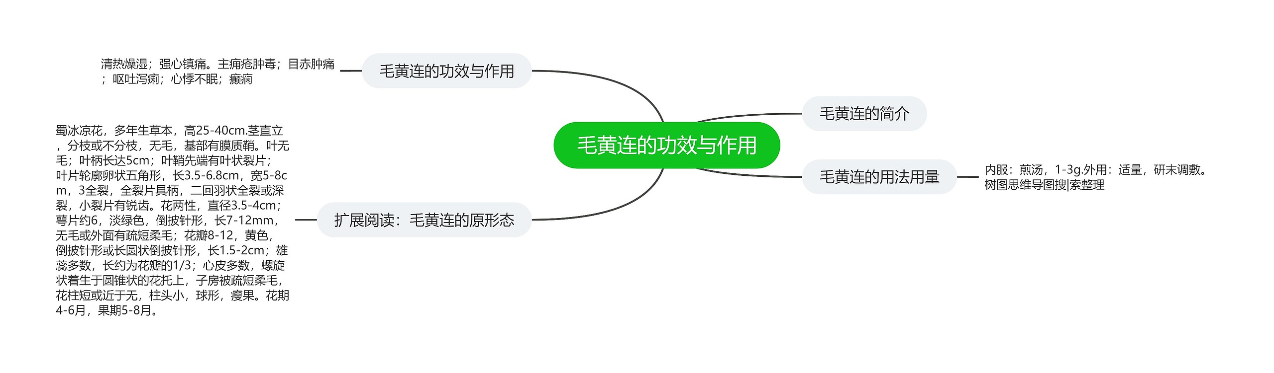 毛黄连的功效与作用思维导图