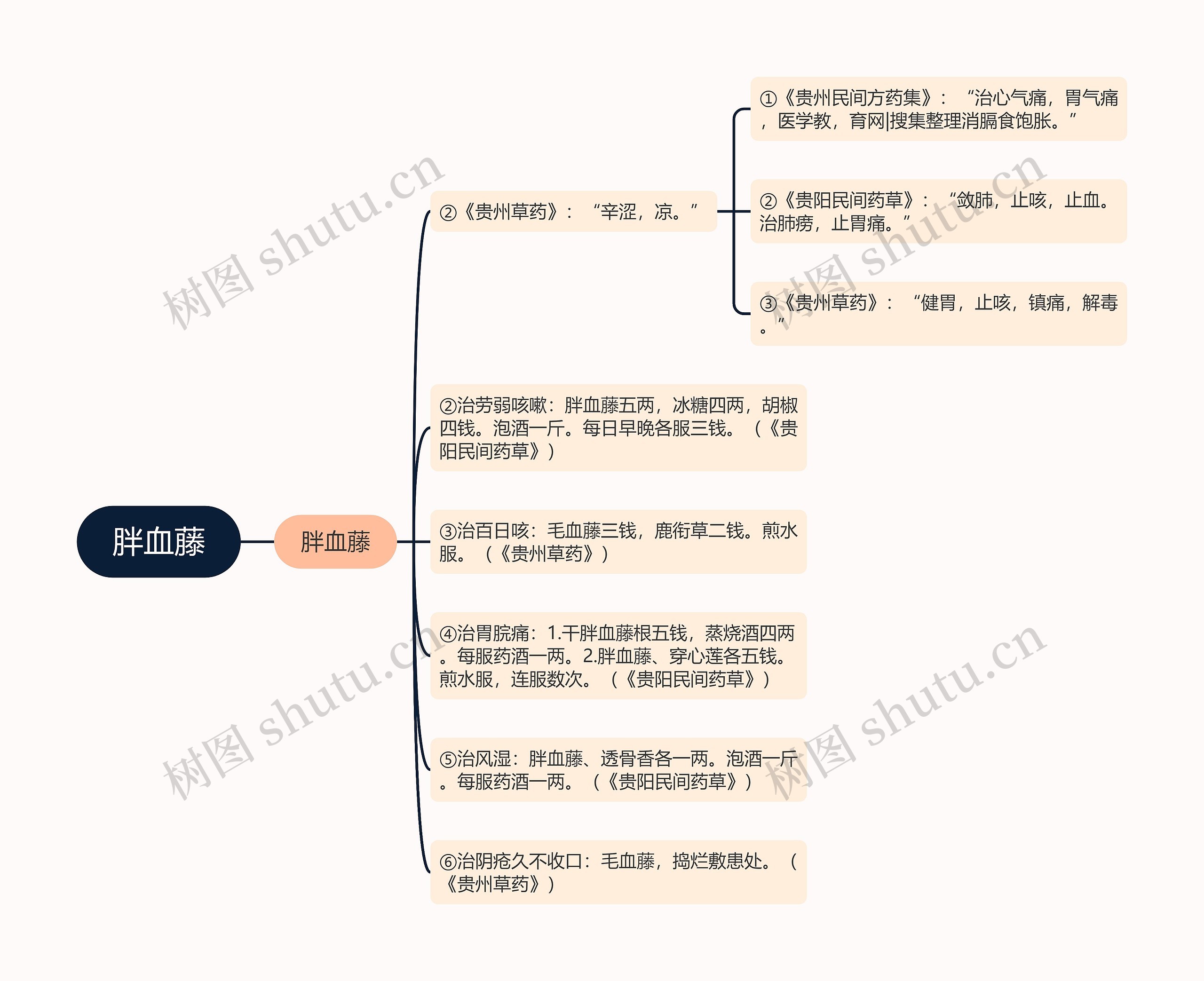 胖血藤思维导图