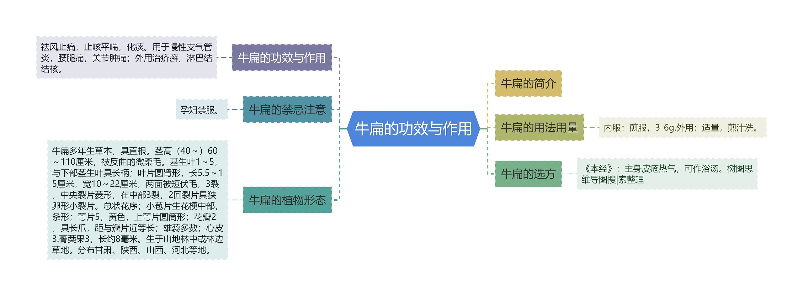 牛扁的功效与作用思维导图