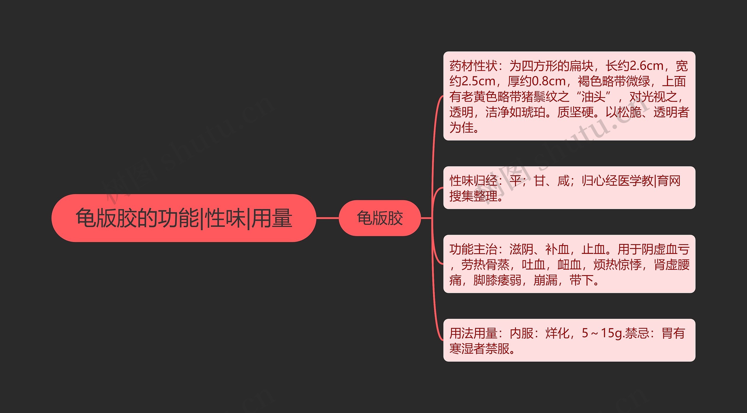 龟版胶的功能|性味|用量思维导图