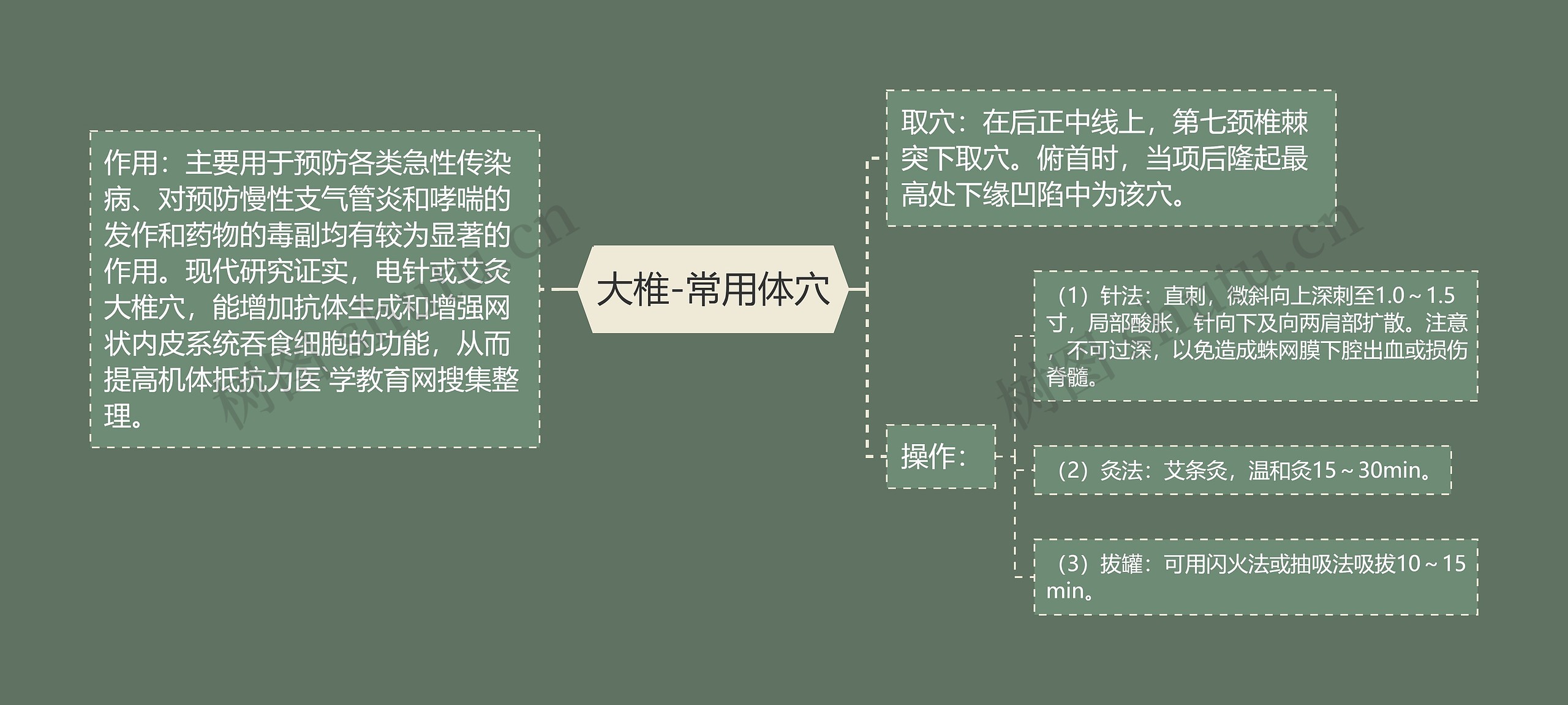 大椎-常用体穴思维导图