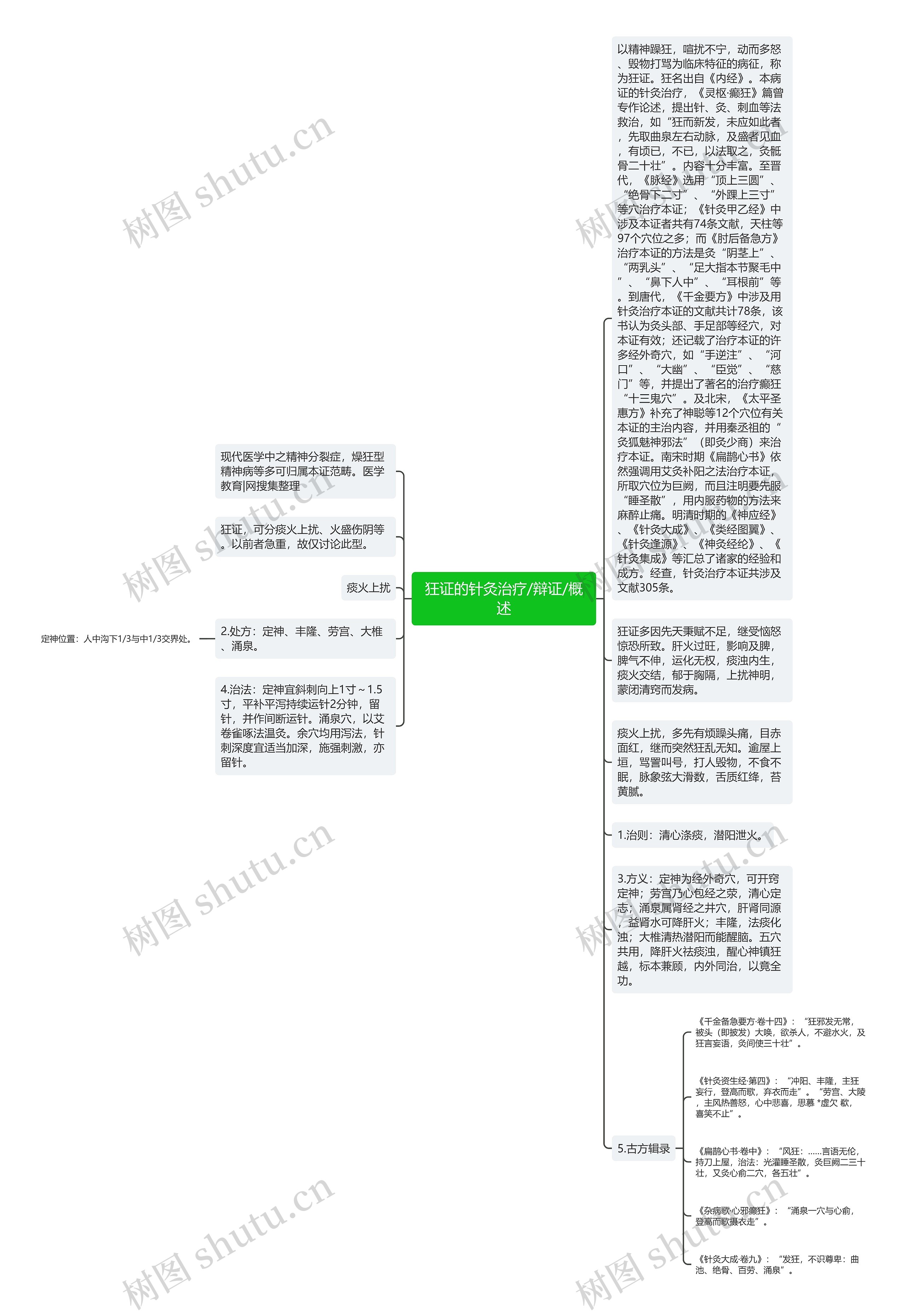 狂证的针灸治疗/辩证/概述思维导图