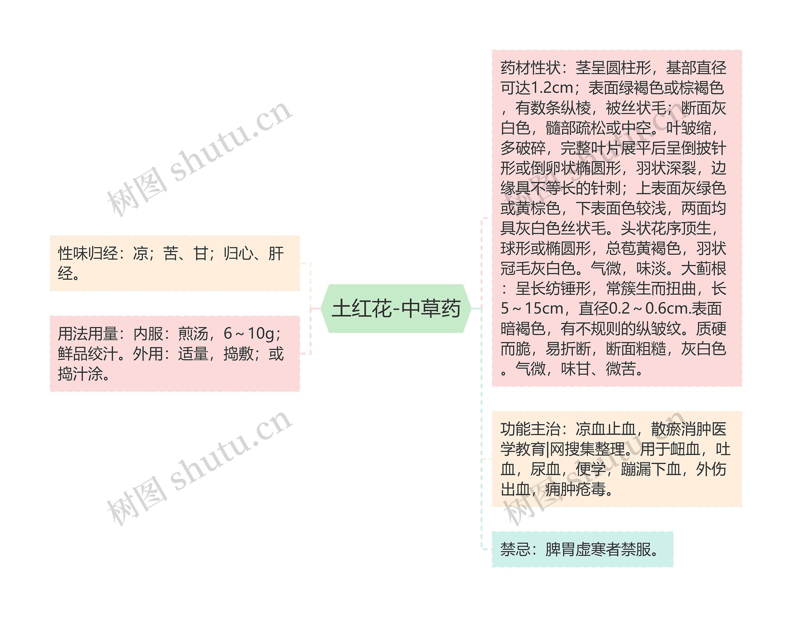 土红花-中草药思维导图