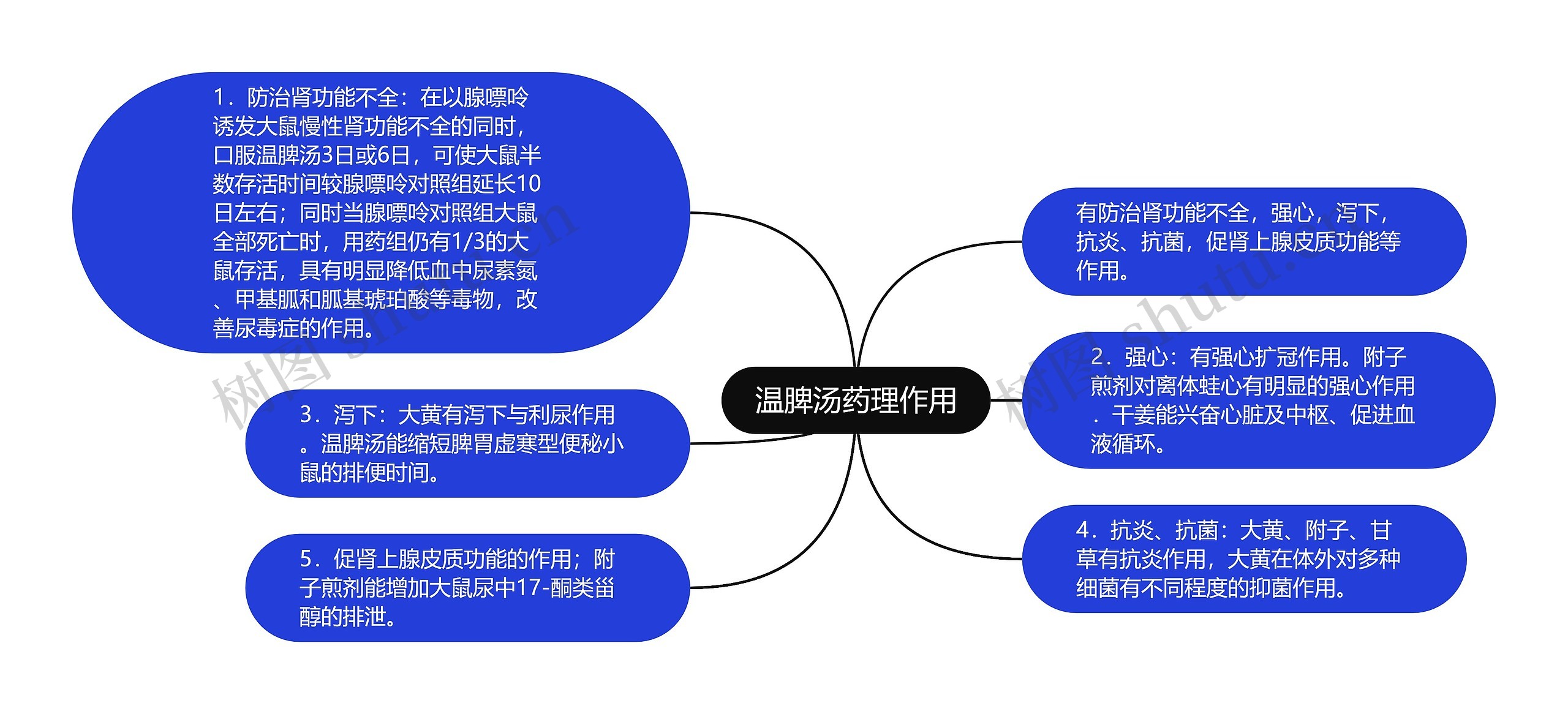 温脾汤药理作用思维导图