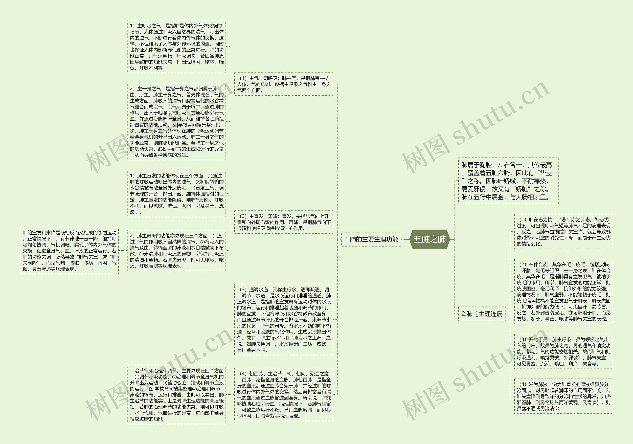 五脏之肺思维导图高清图 五脏之肺思维导图