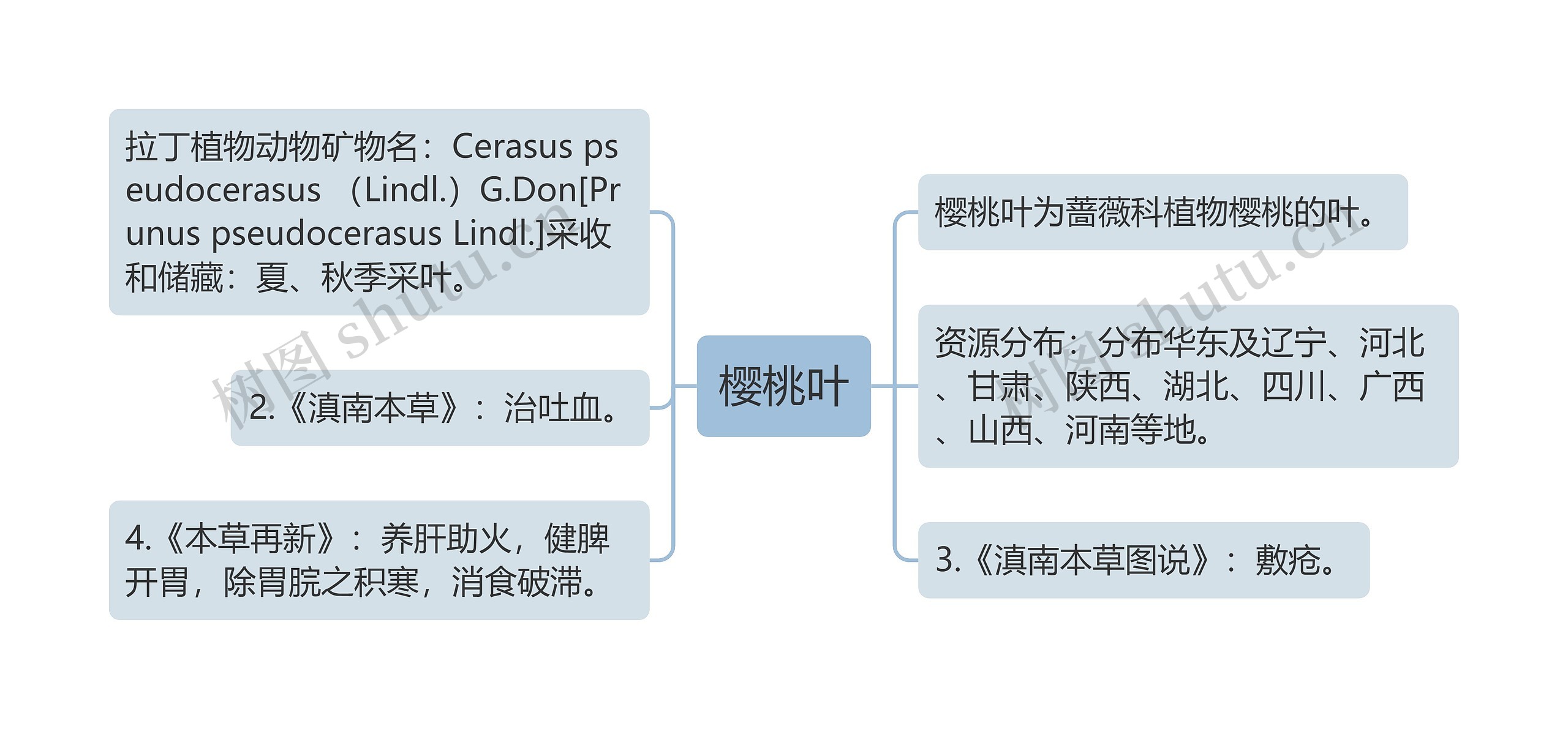 樱桃叶思维导图